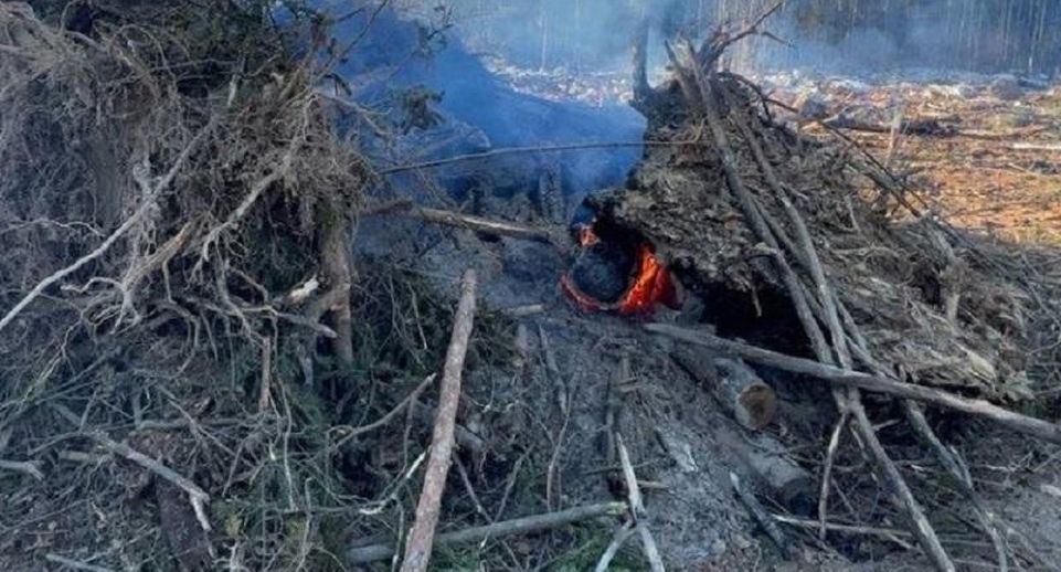 Пожар в Краснознаменске предотвратили после вмешательства Минэкологии