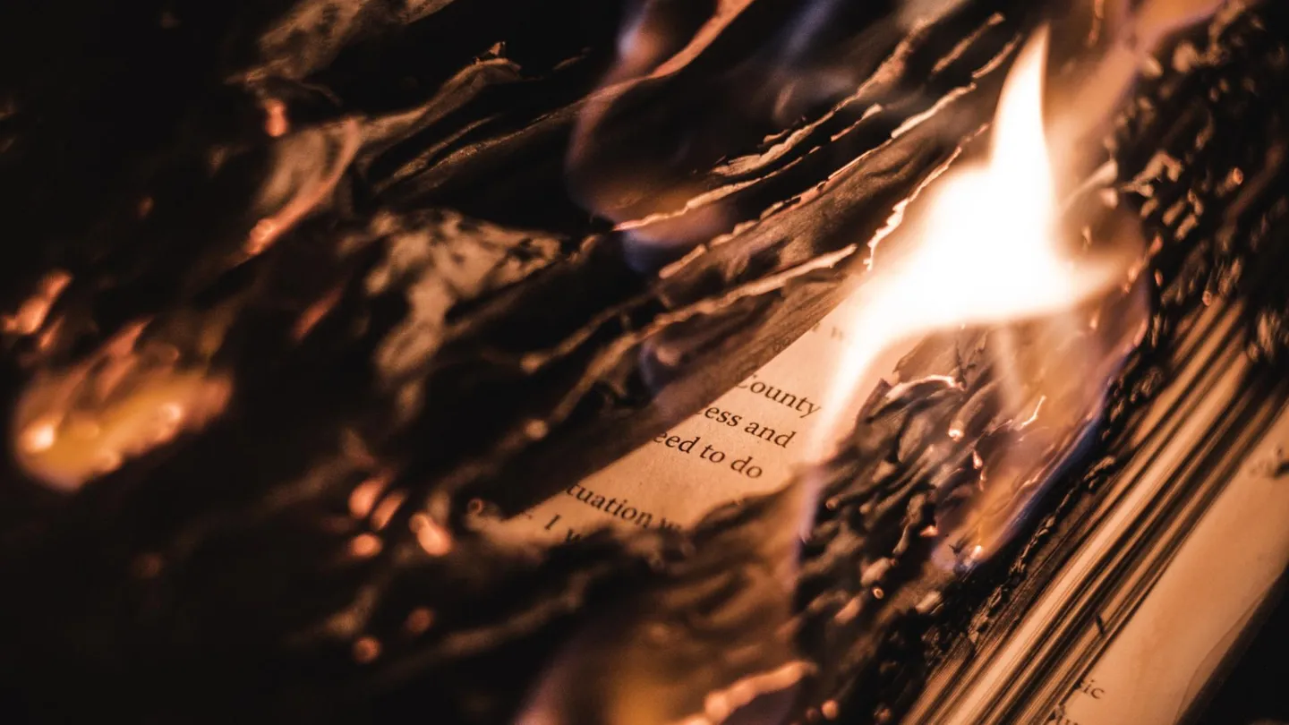 Сожжение письма картинки. Сожжение китайских книг. Михи Уильямс сожжение книг.