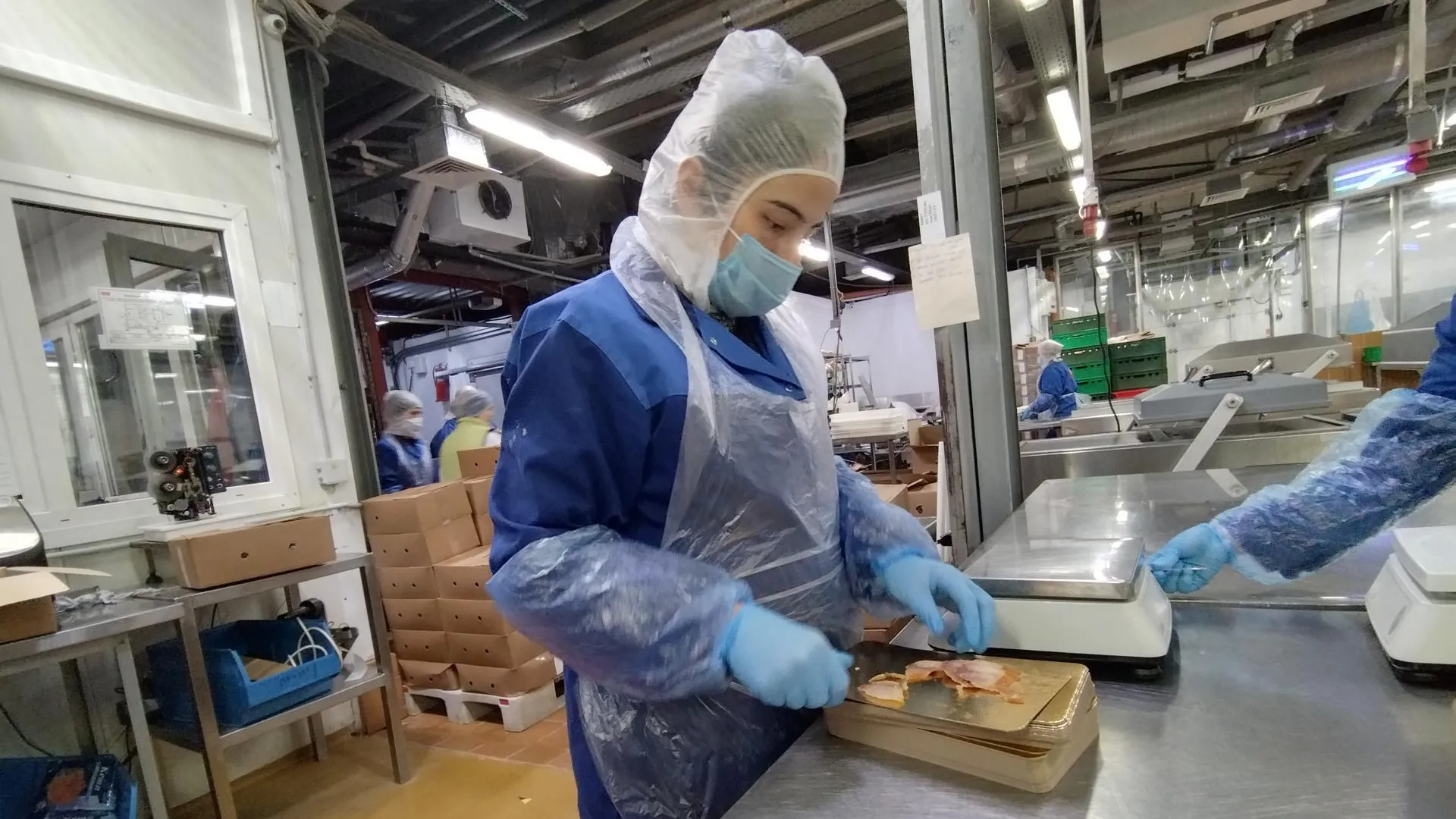 Компания из Мытищ на 50% увеличит производство вяленой рыбы после открытия нового цеха