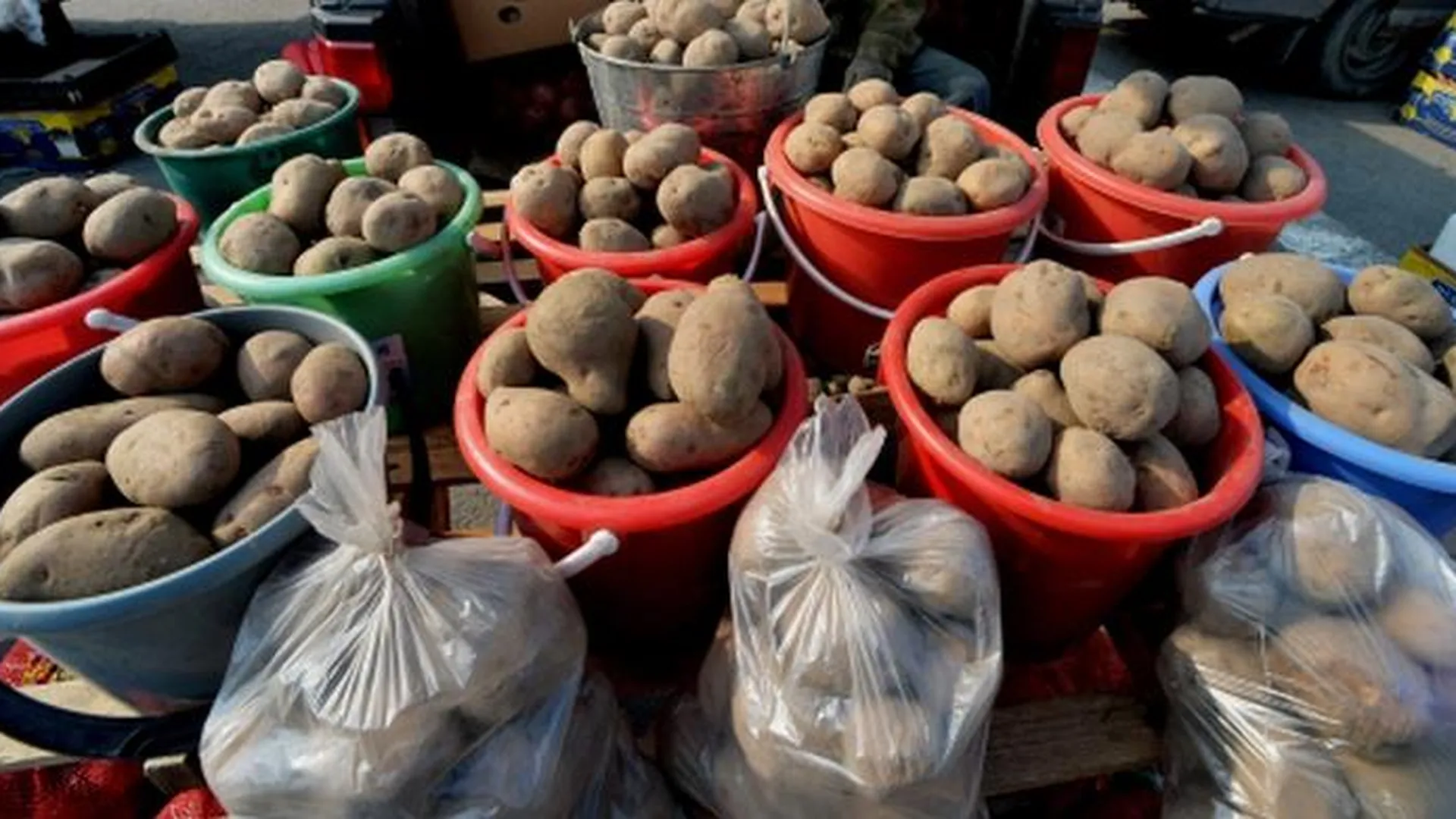Цена на лук и картошку на Ценопадах в 2-3 раза ниже среднерыночной - Посаженников