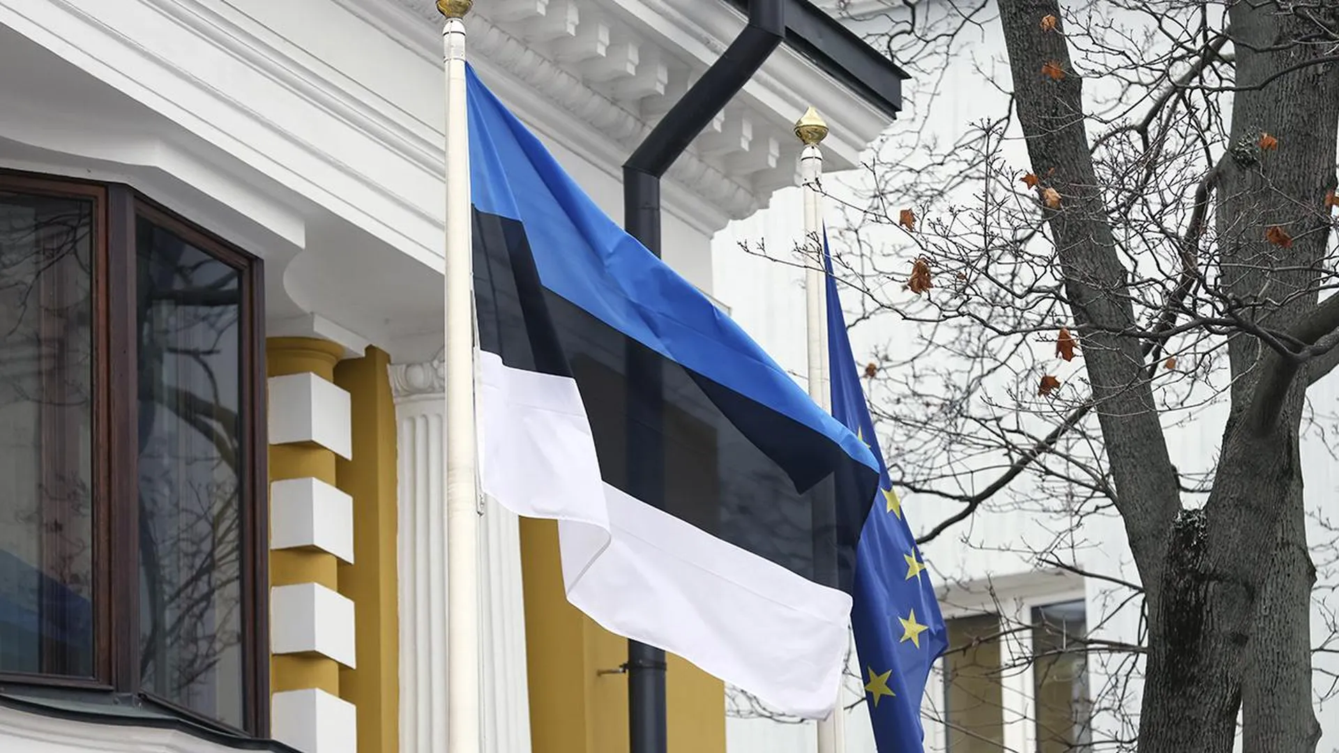 Эстония собирается передать Украине замороженные активы россиян