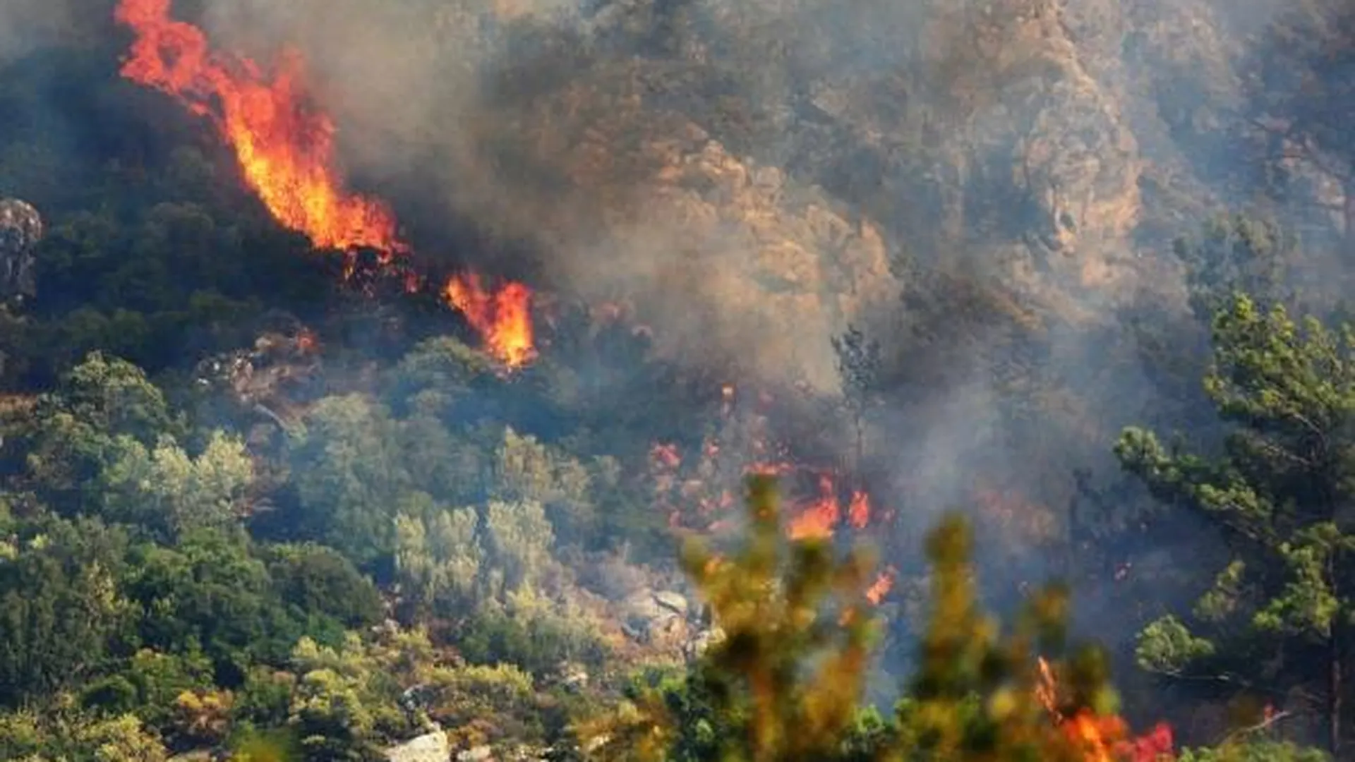 Крупный природный пожар вспыхнул на юге Турции, к тушению привлекли авиацию