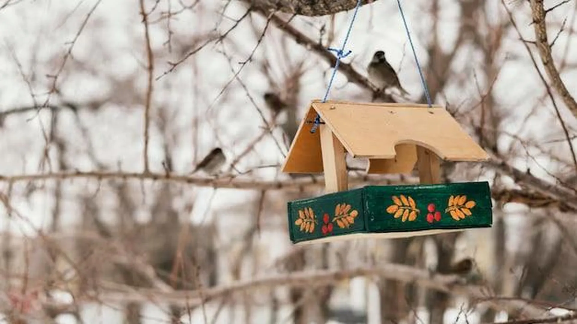 Жители Раменского смогут стать участниками конкурса на лучшую кормушку для птиц