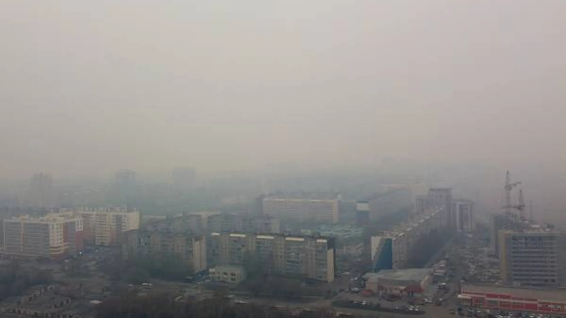Москвичам рассказали, когда уйдут смог и запах гари