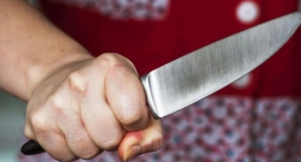 Источник «360»: мать из Пушкино запустила ножом в 10-летнюю дочь во время ссоры