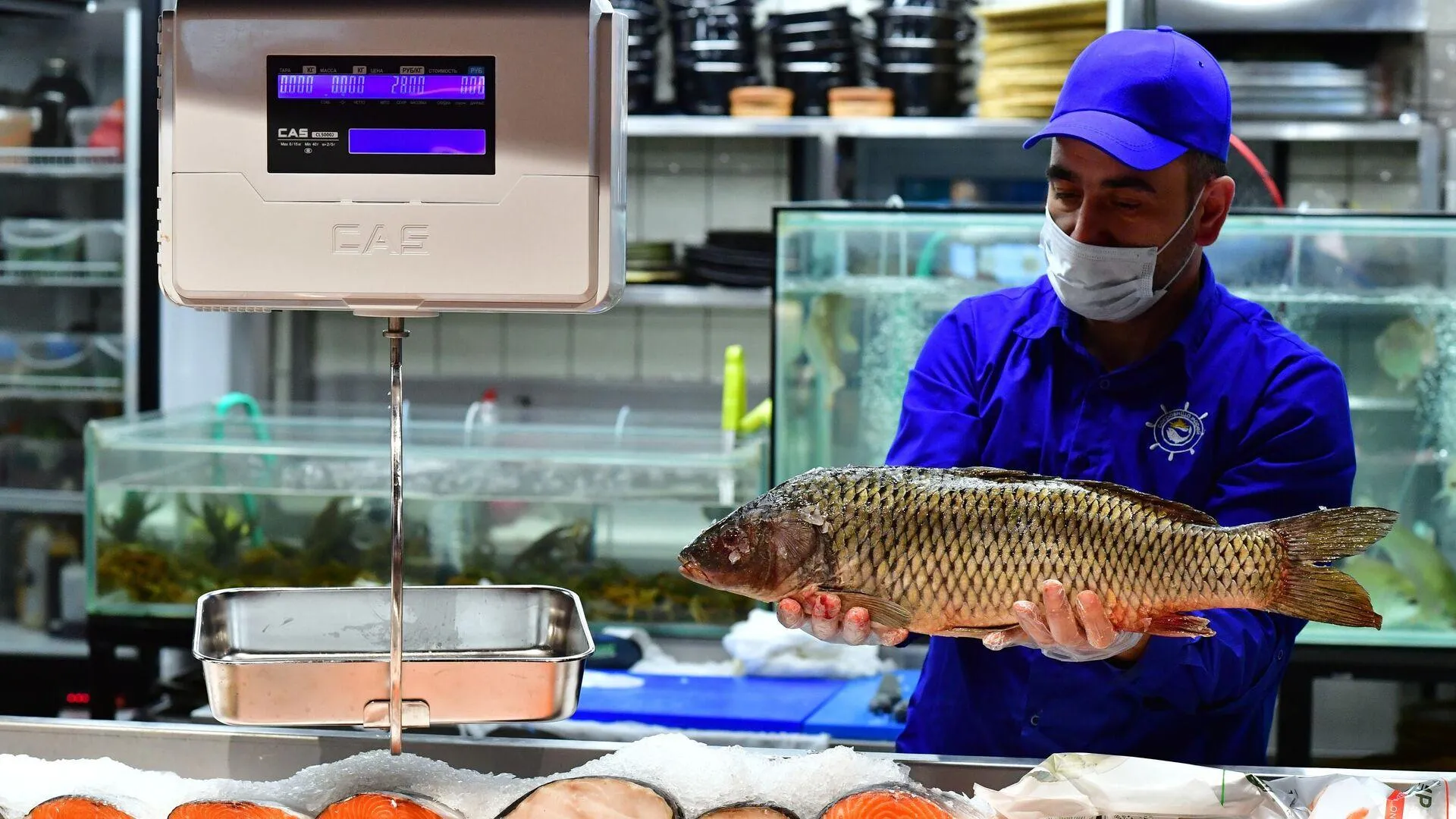 Поставки мяса и рыбы из Бразилии в Россию увеличат