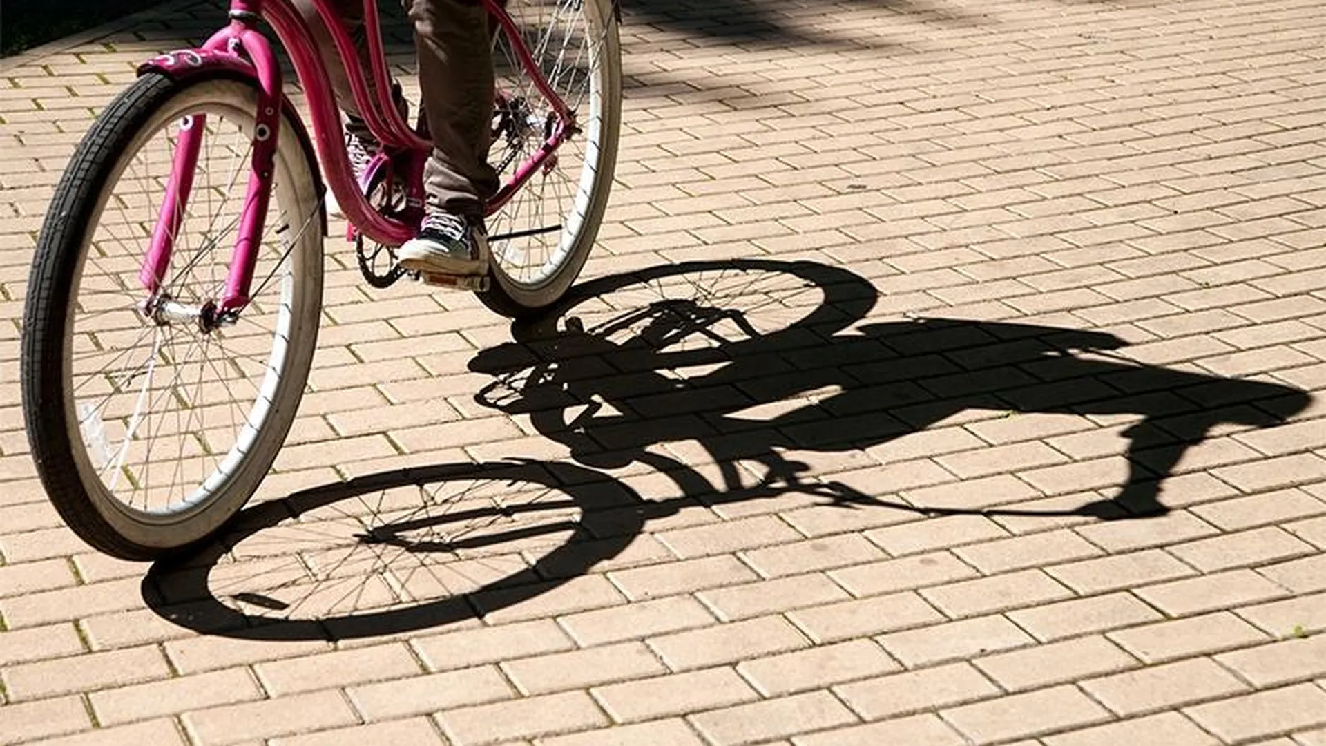 Число аварий с участием малолетних велосипедистов увеличилось в Подмосковье