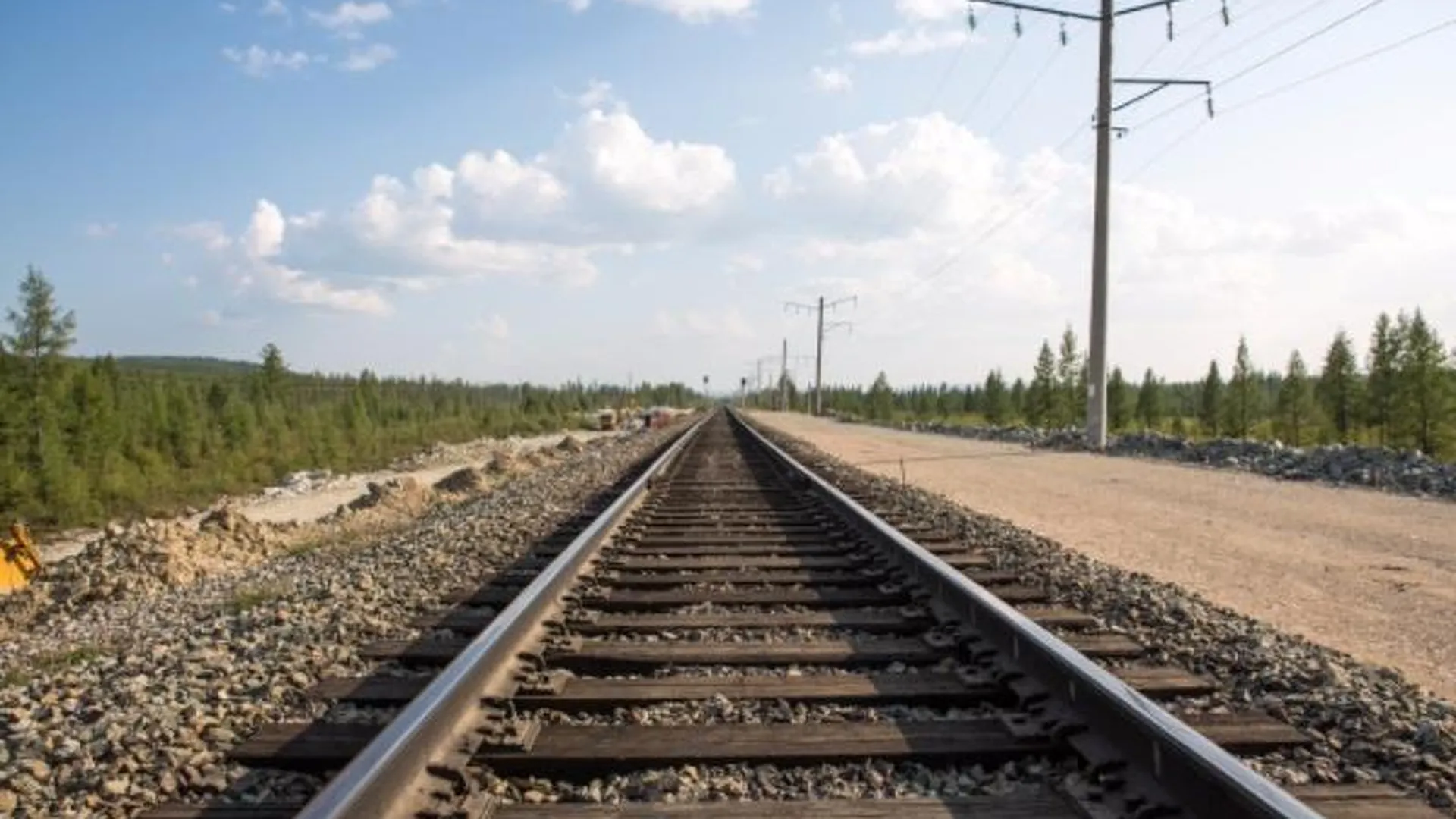 Юные дачницы погибли под колесами грузового поезда по дороге в Москву