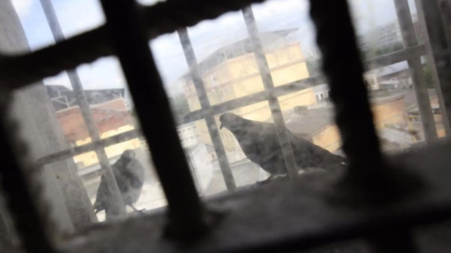 Пожизненный срок грозит наркодилеру, которого задержали с 2 кг спайса в Каширском районе