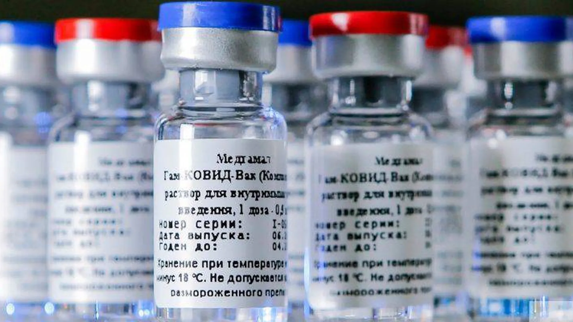 Результат исследования вакцины. Российская вакцина от Эболы. Создания вакцины от смерти. Спутник v вакцина Аргентина. Второй компонент вакцины от коронавируса Спутник какого цвета.
