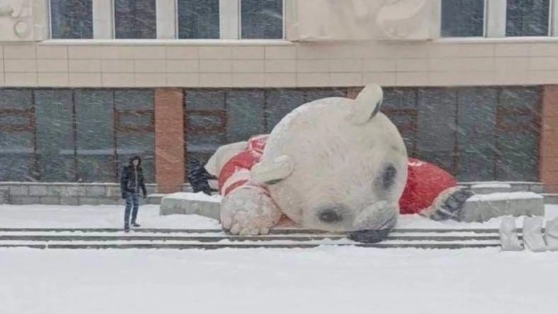 Надувной десятиметровый медведь из цирка в Екатеринбурге впал в спячку