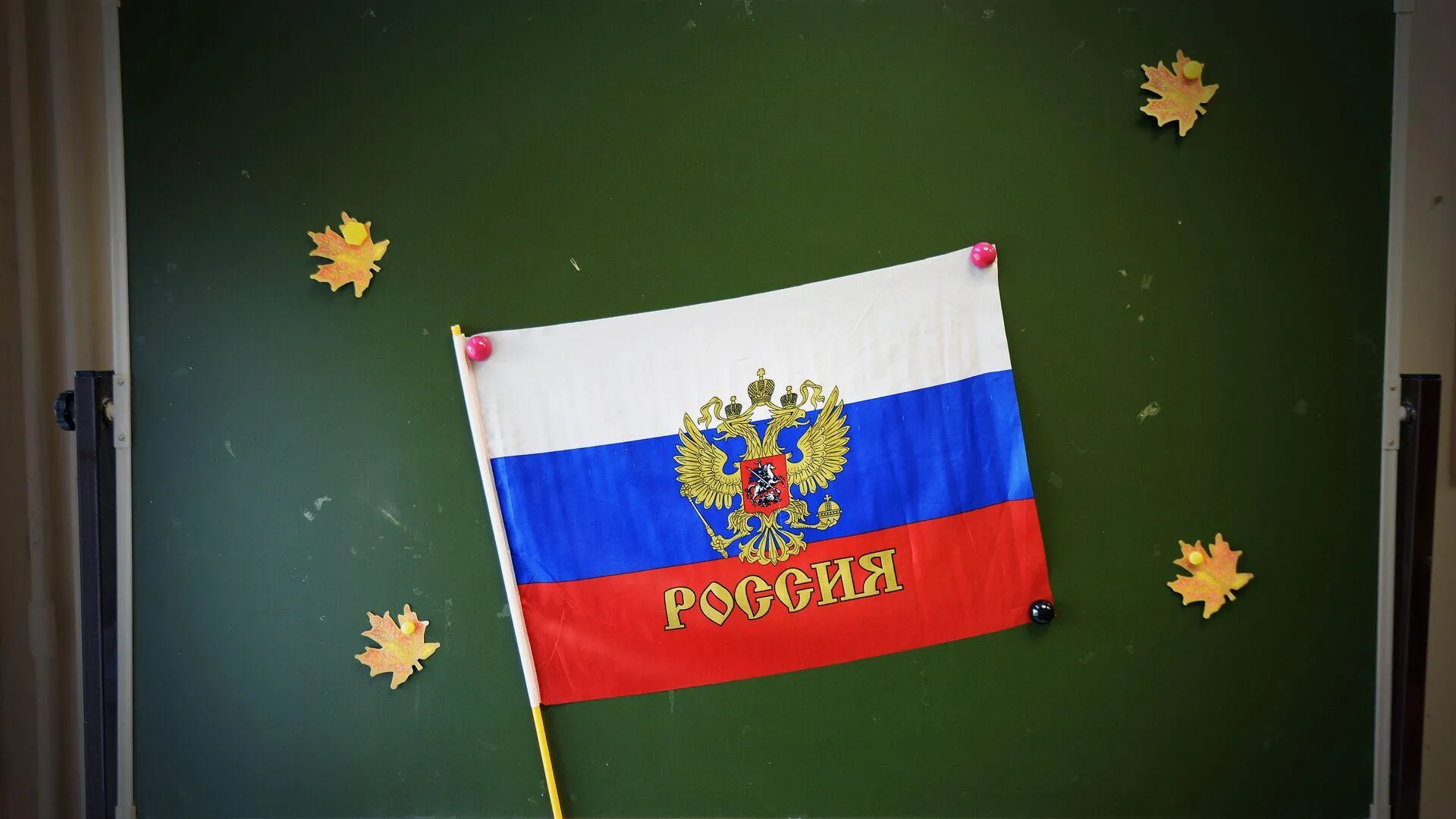 Законопроект о флаге России в детсадах, вузах и колледжах прошел первое чтение