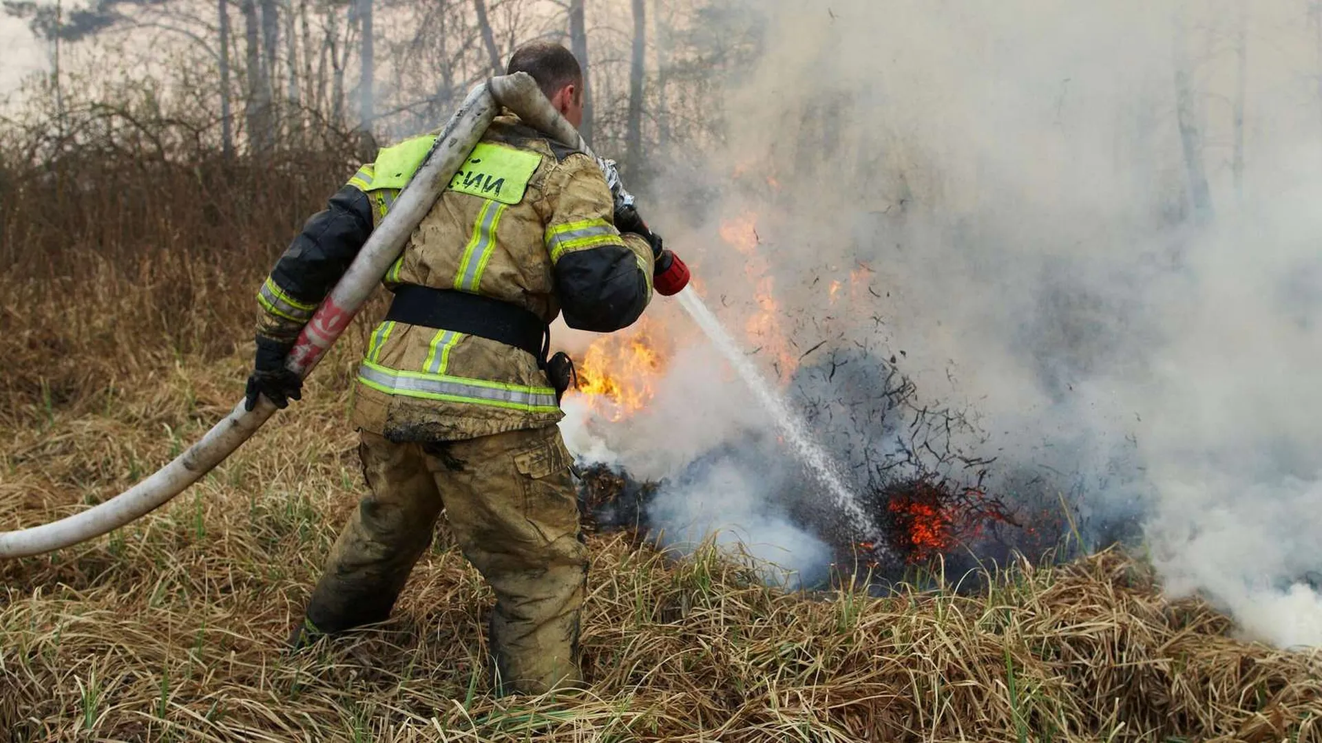 Сухую грозу назвали причиной лесных пожаров в Рязанской области