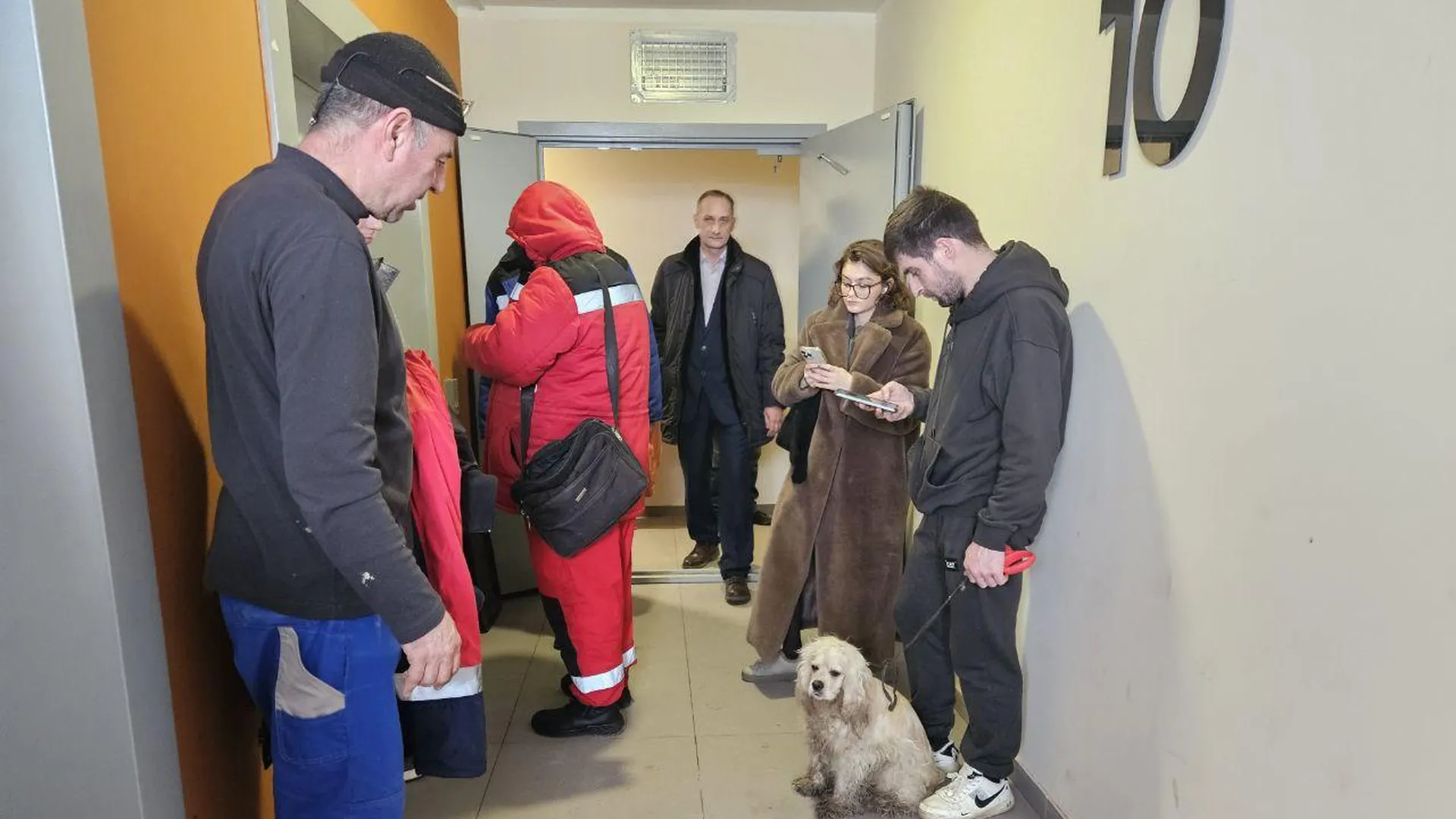 Глава Люберец поблагодарил неравнодушных граждан за участие в спасении запертой в квартире собаки