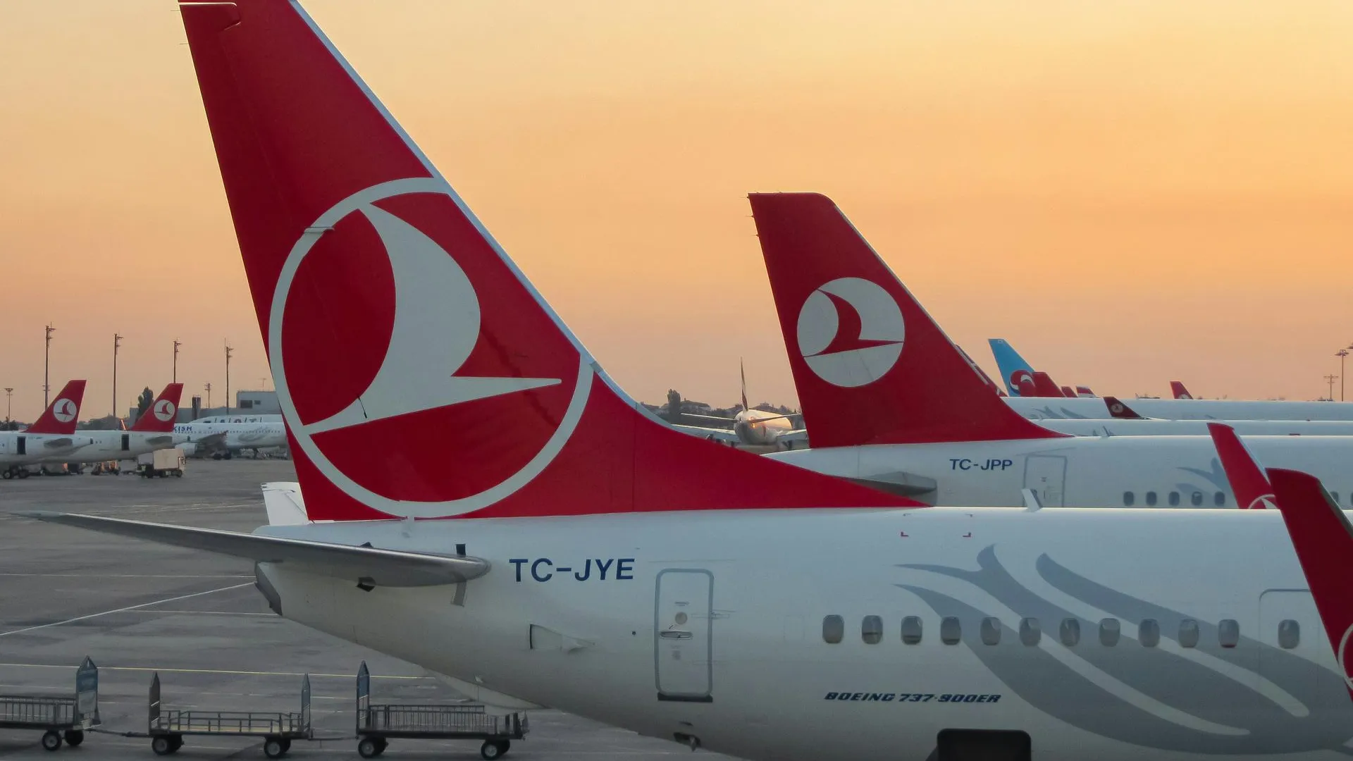 Турецкая авиакомпания упростила условия полетов после снятия россиян с рейсов
