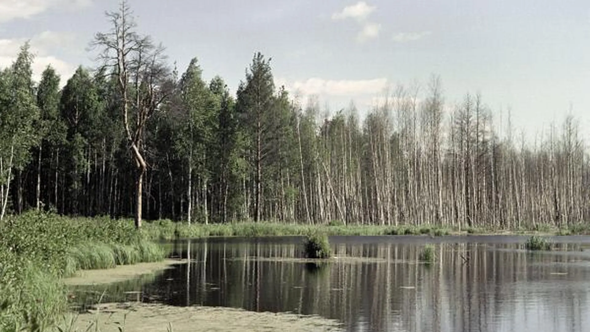 Водолазы ищут в озере мальчика в Сергиево-Посадском районе