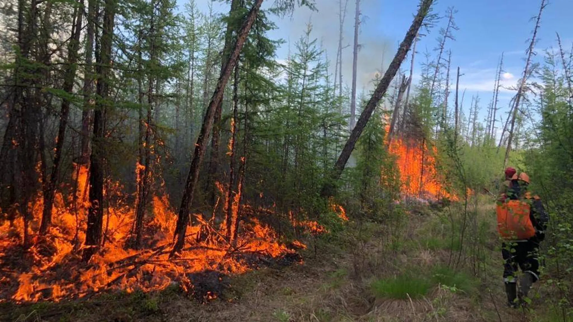 В следствии лесных пожаров. Бясь-Кюель Якутия пожар. Лесные пожары в Якутии 2021. Якутск пожары 2021. Лесные пожары в Якутии 2022.