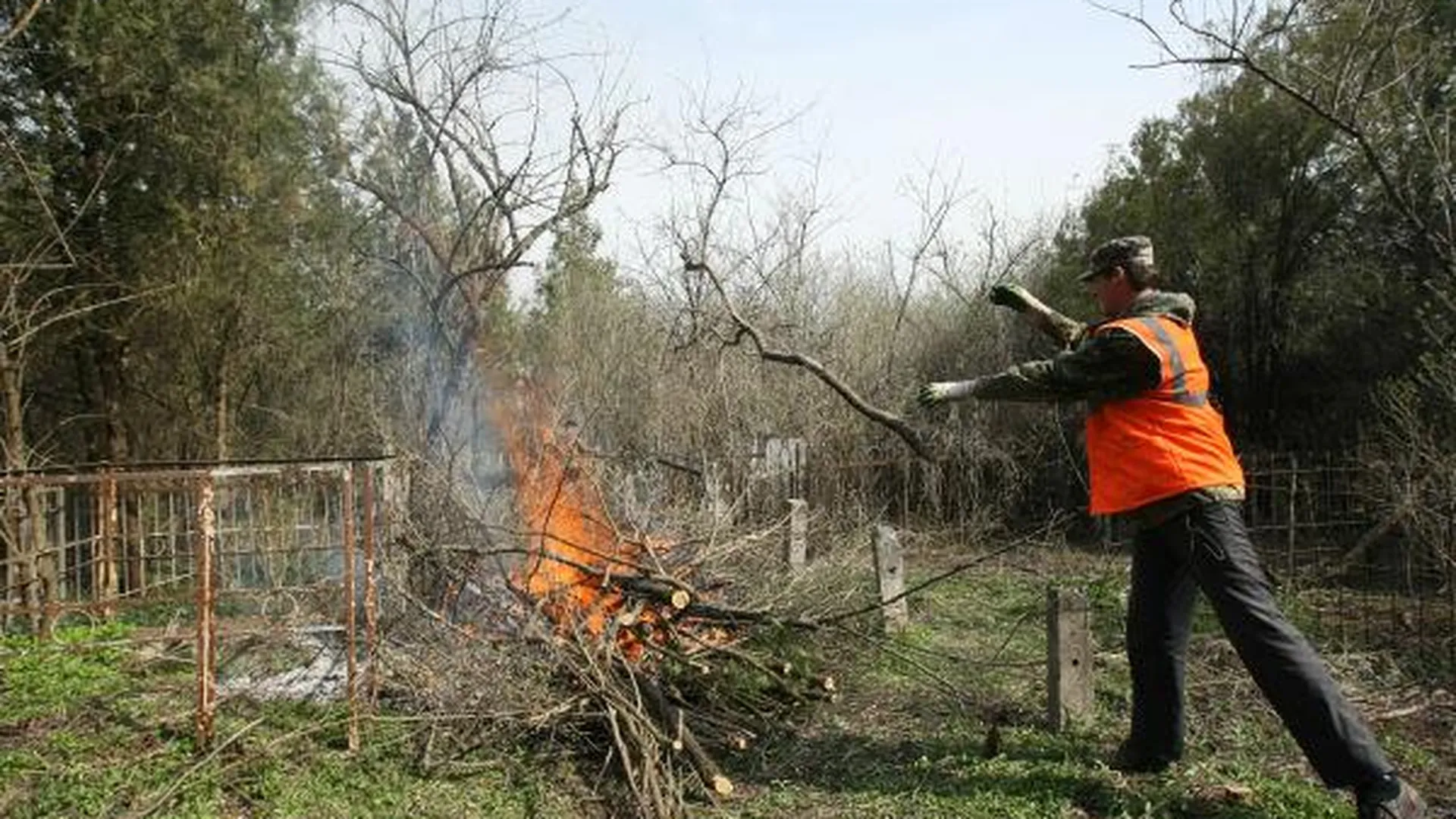 В четырех муниципалитетах запретили сжигать порубочные остатки