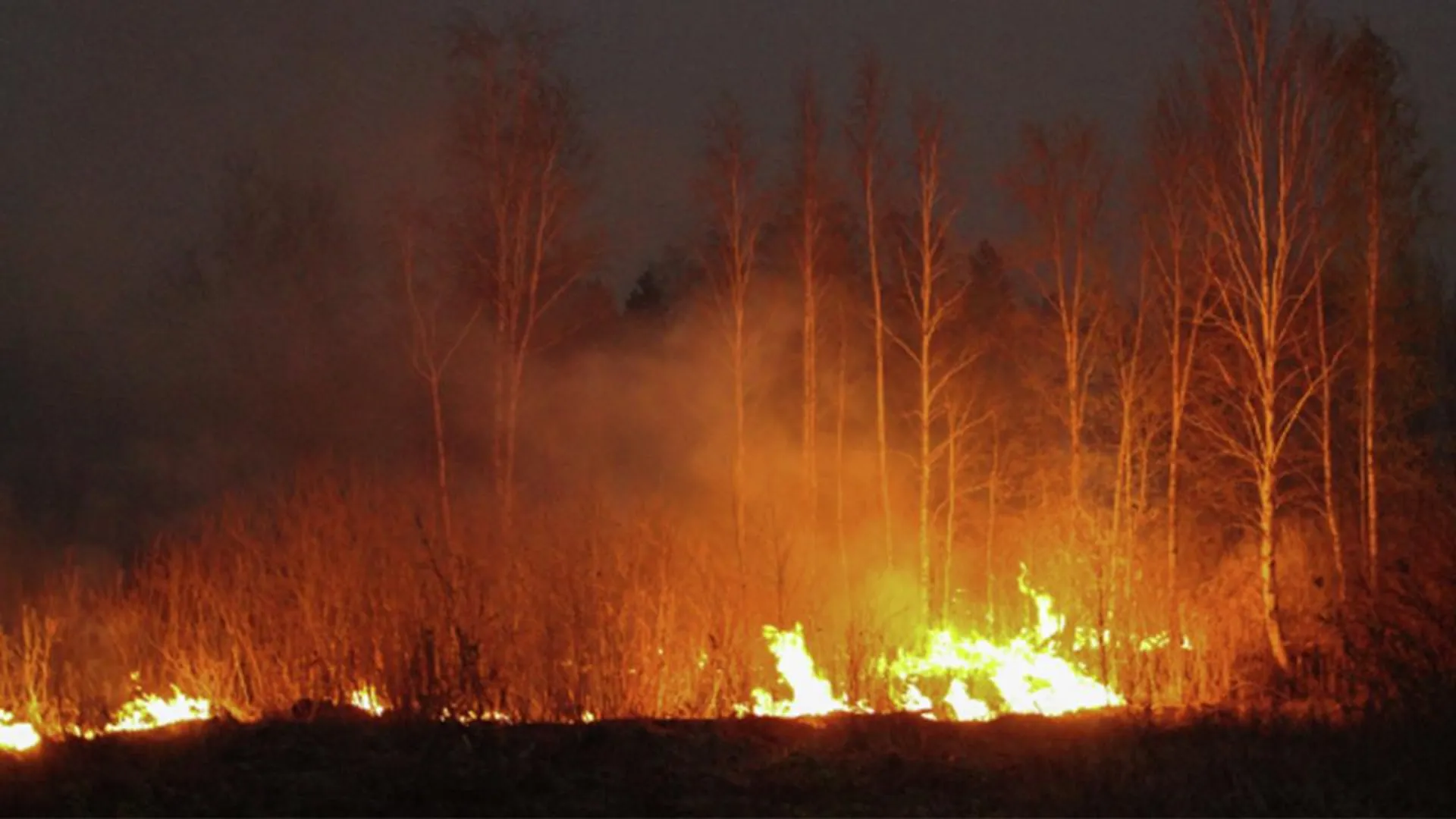 Омская область попала в антирейтинг Сибири по количеству лесных пожаров
