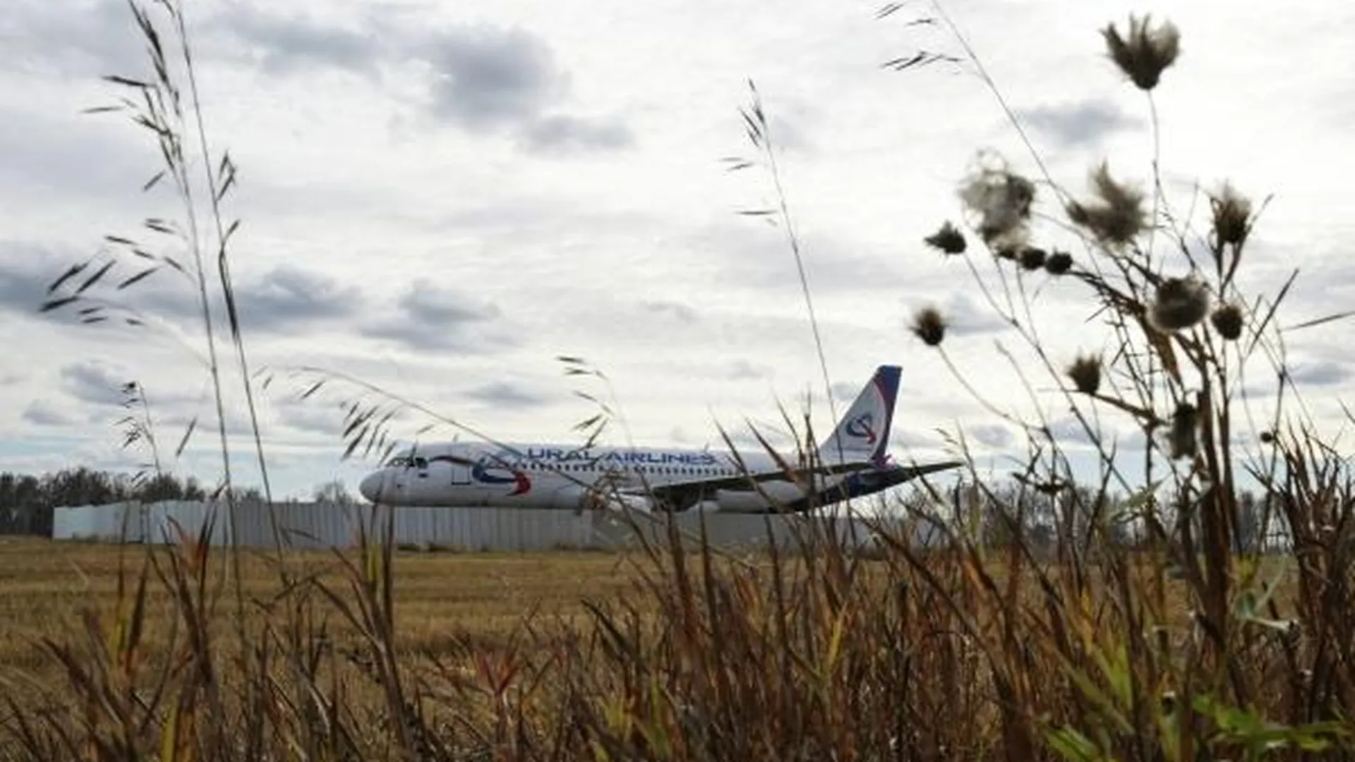 «Не знаю, откуда данные». Посадивший самолет в поле под Новосибирском пилот — об увольнении