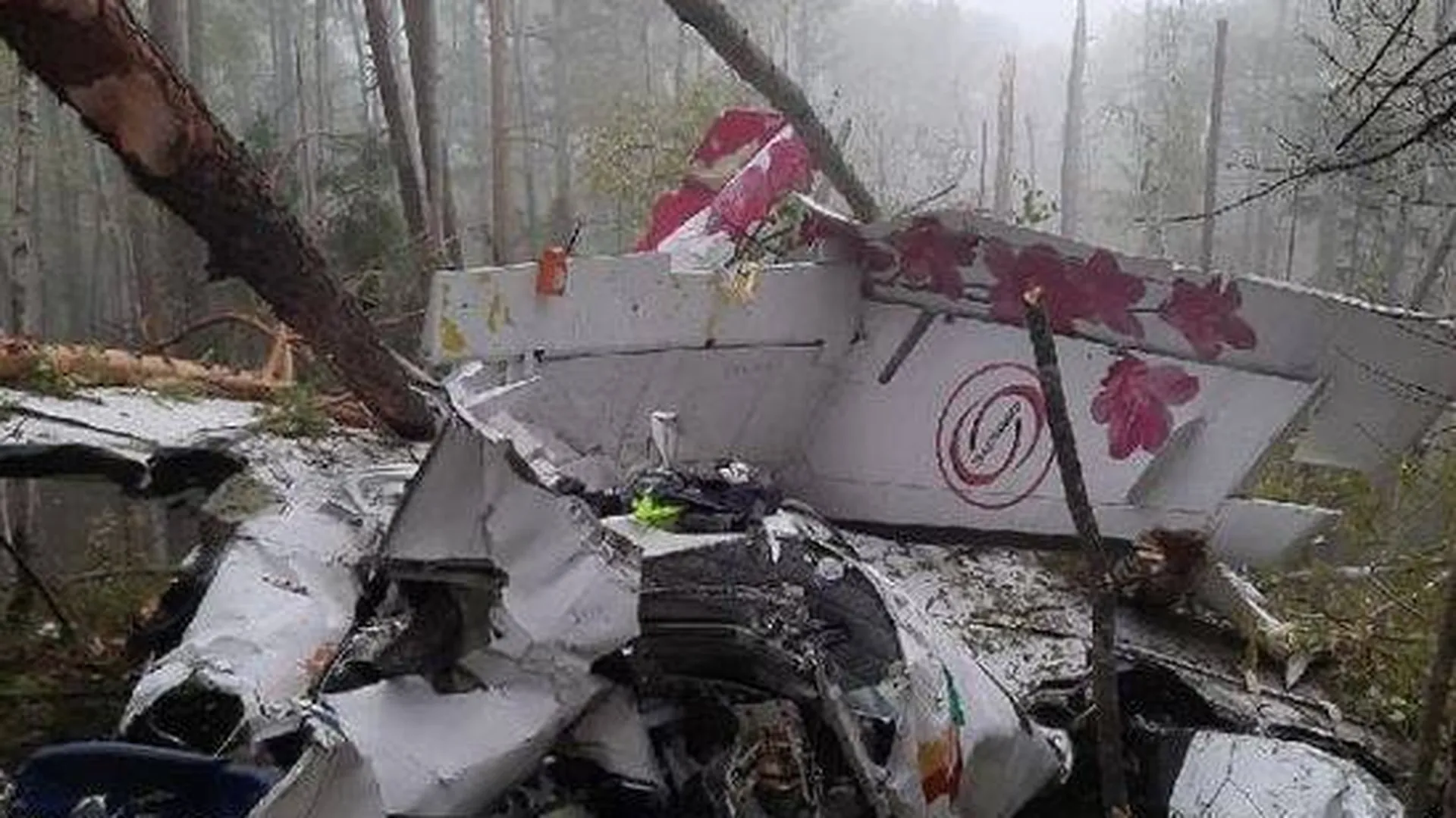 Стало известно о состоянии пострадавших при крушении L-410 под Иркутском