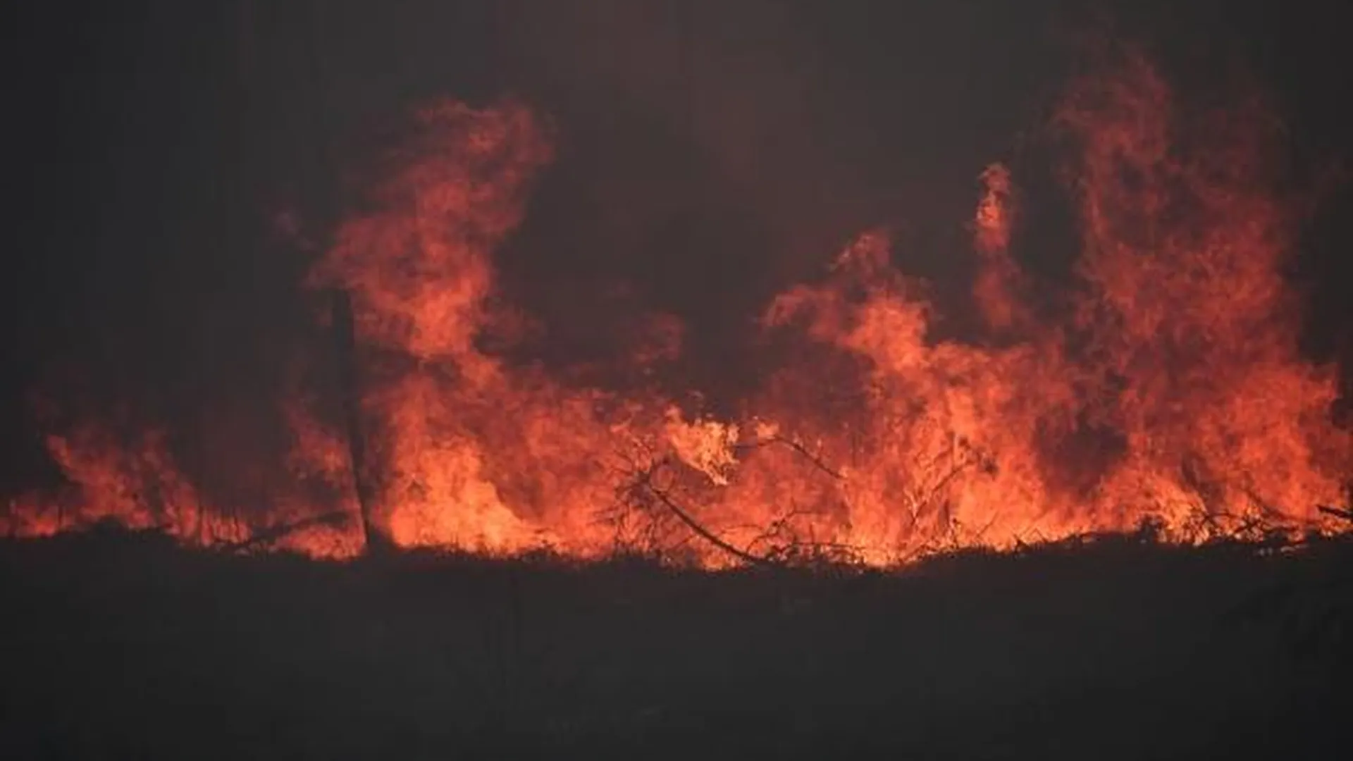 Ситуация с пожарами в Свердловской области стабилизировалась