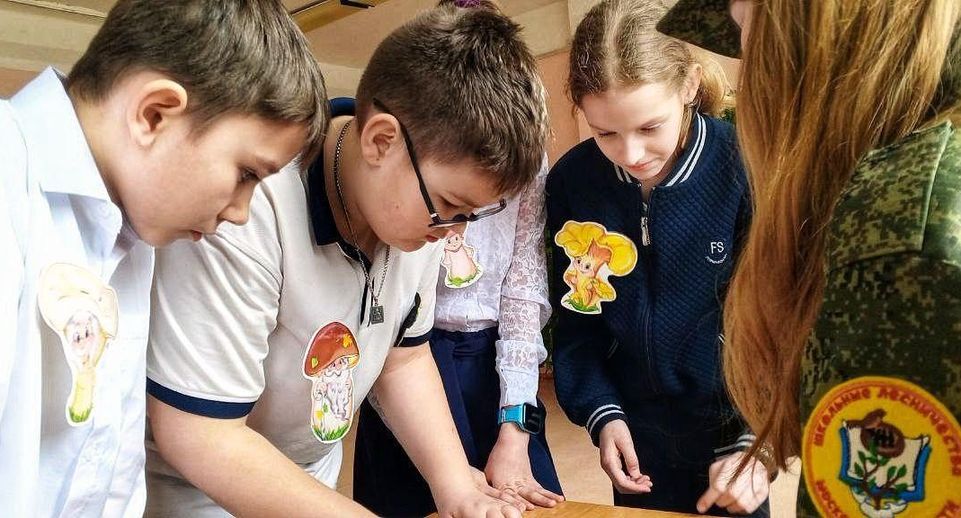 Школьники из Яхромы поучаствовали в квесте Дмитровского школьного лесничества