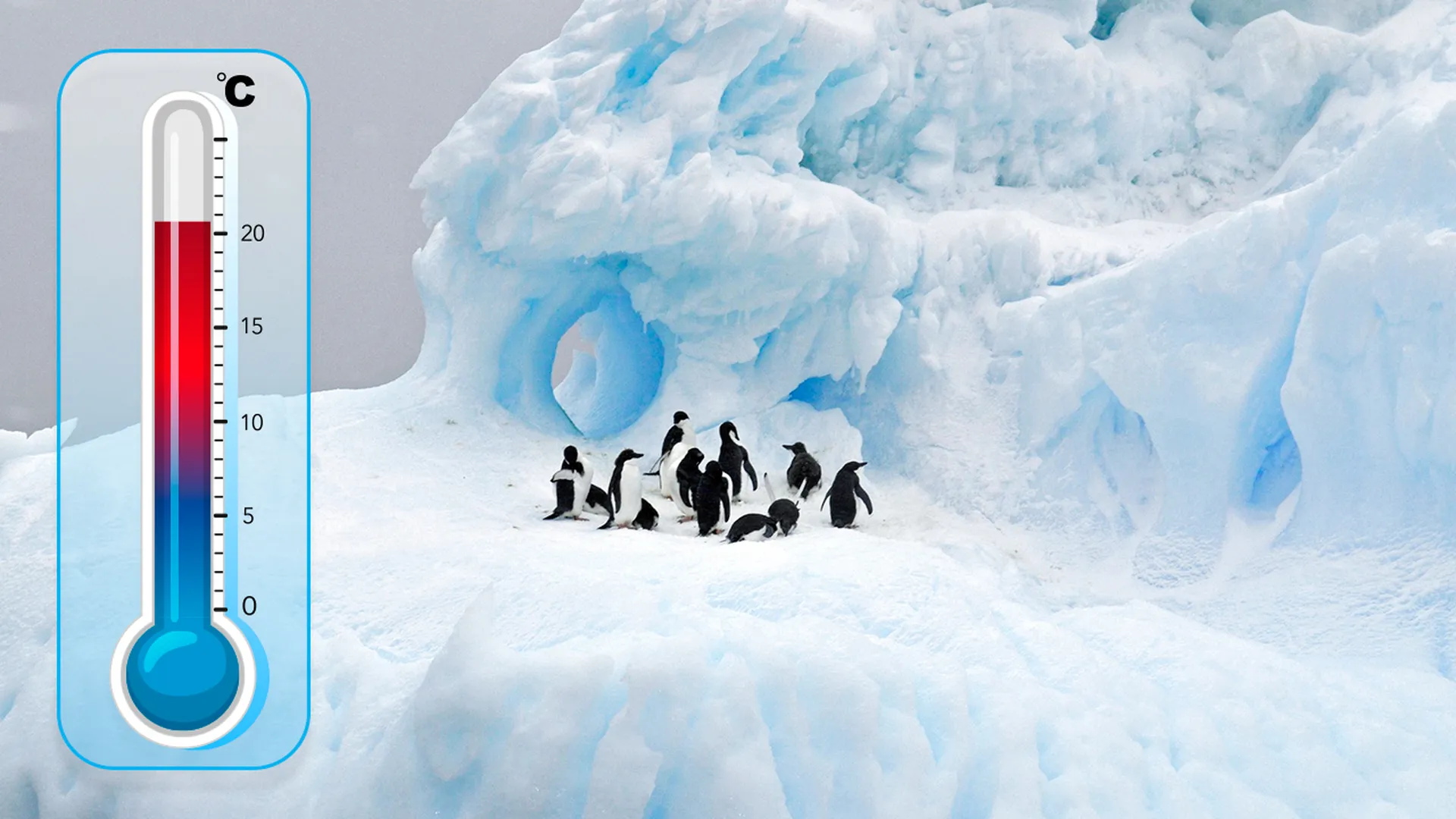 Самая низкая температура воздуха в антарктиде. Температура в Антарктиде. Климат Антарктиды. Антарктида градусы. Термометр в Арктике.