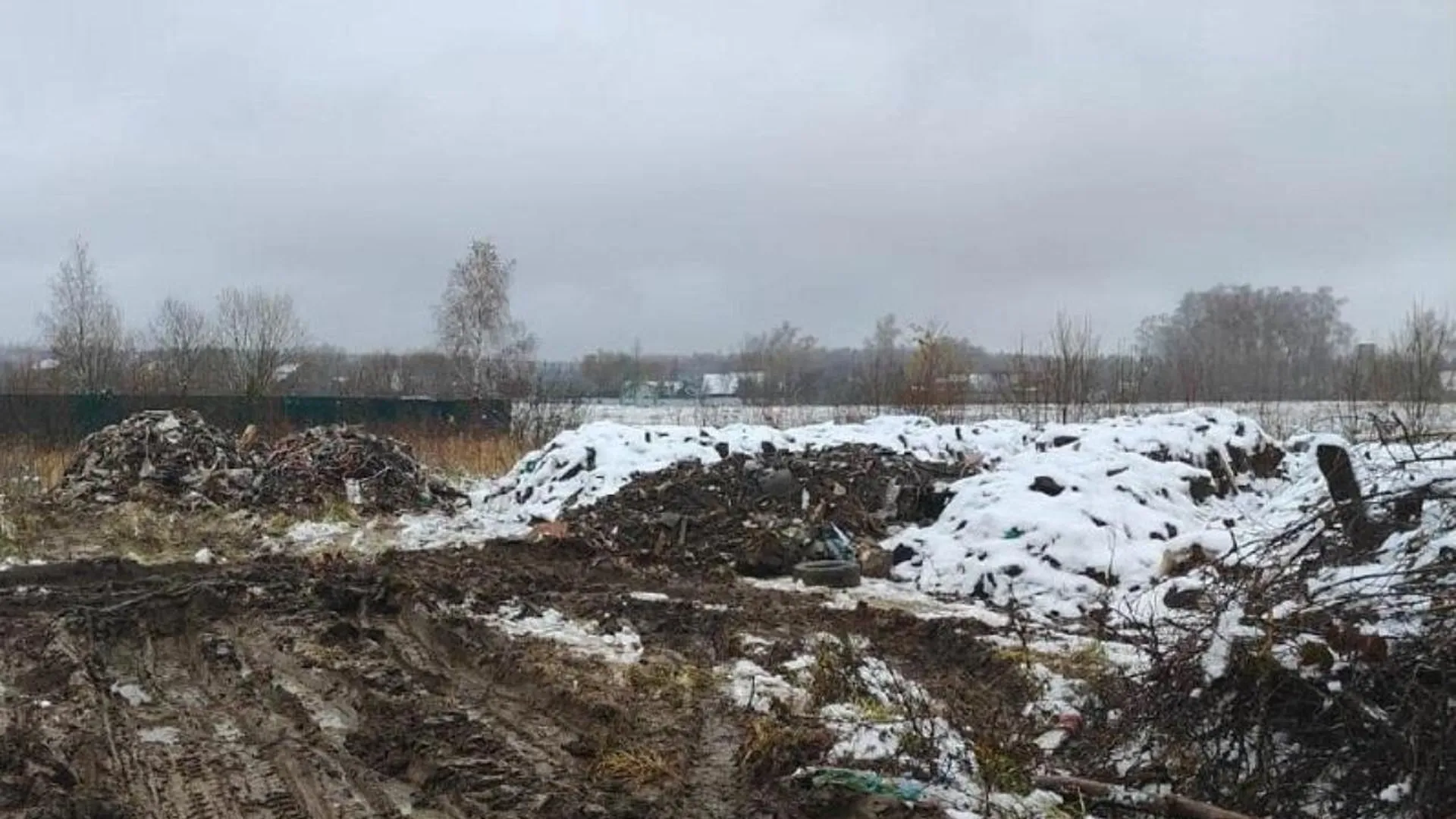 Недосмотрел за участком: Землевладельцу из Красногорска придется возместить ущерб