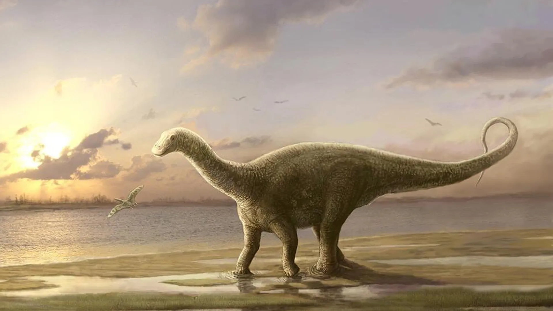 Динозавров нашли в Подмосковье. Они жили под Коломной за 165 миллионов лет до нашей эры