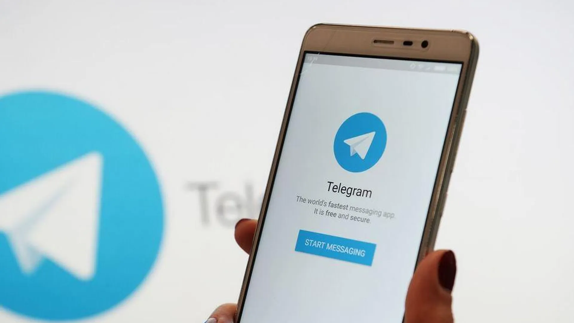 Telegram сделает функцию Stories бесплатной для всех