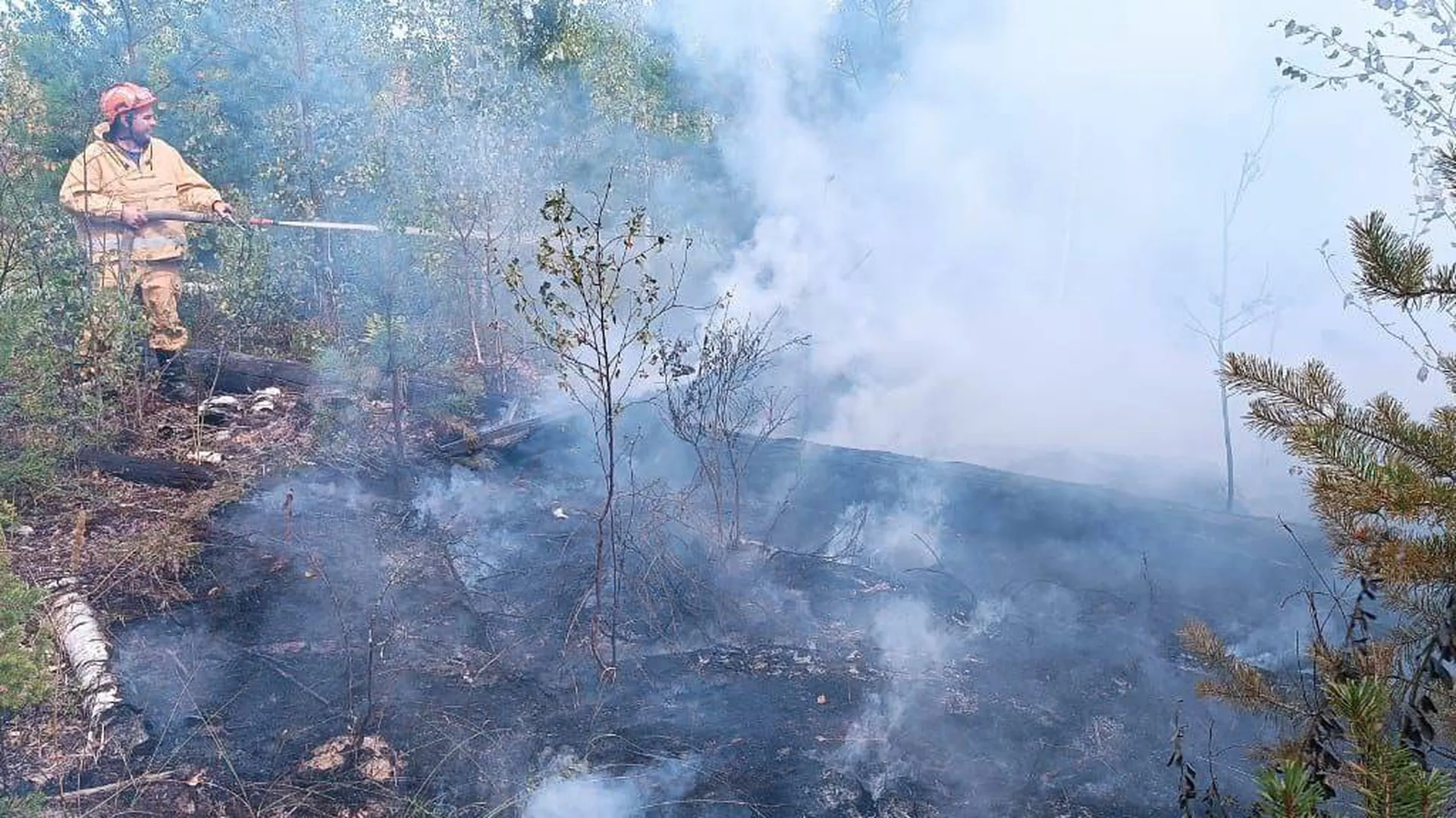Лесопожарные бригады Луховиц и Шатуры отправились на пожары в Рязанскую область