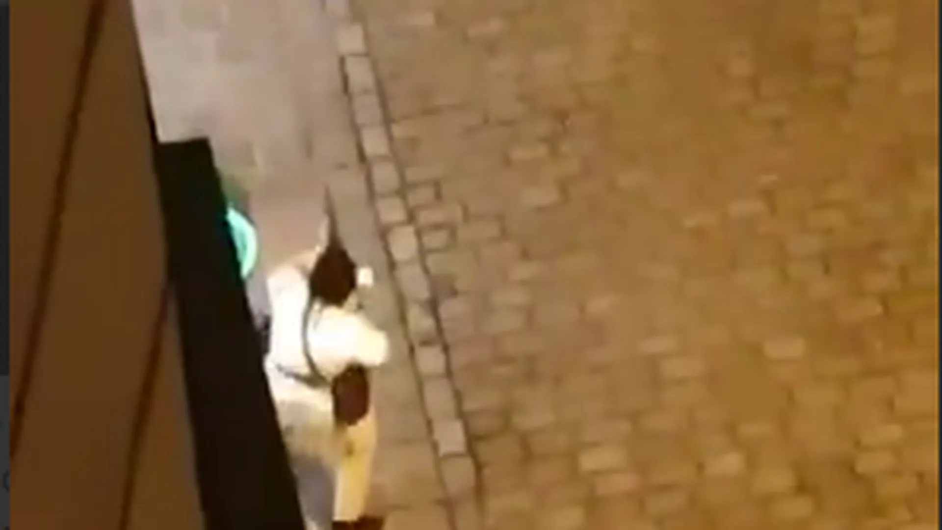 Полное видео нападения террористов. Террорист в Вене причины. Стрельба в синагоге Пауей.