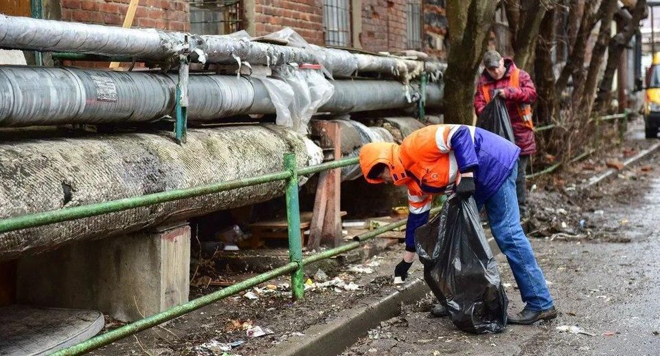 Более 160 нарушений по уборке мусора в Подмосковье устранили специалисты ГУСТ с начала марта