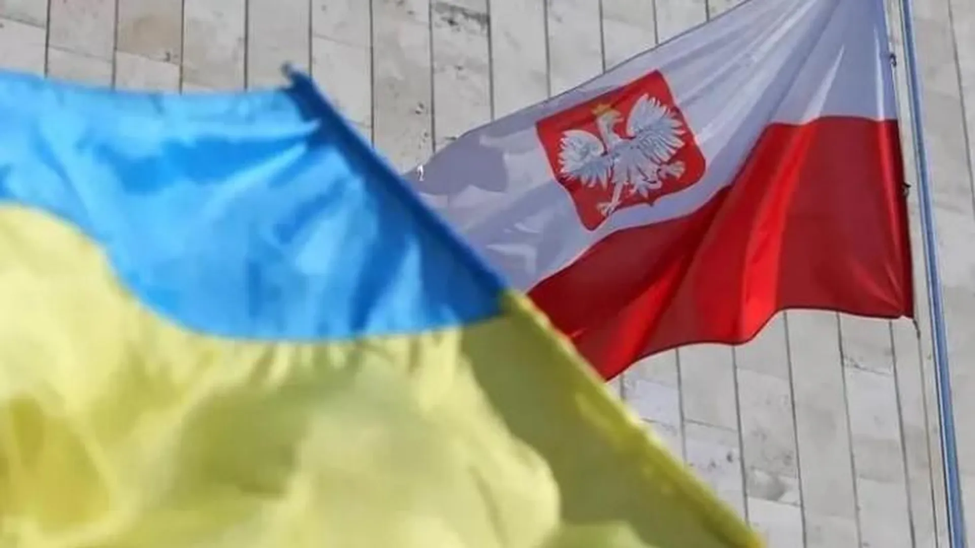 «Все напряглись». Переговоры Украины и Польши о зерне обернулись скандалом