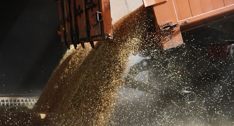 РИА «Новости»: Литва возобновила закупки российского зерна полгода спустя
