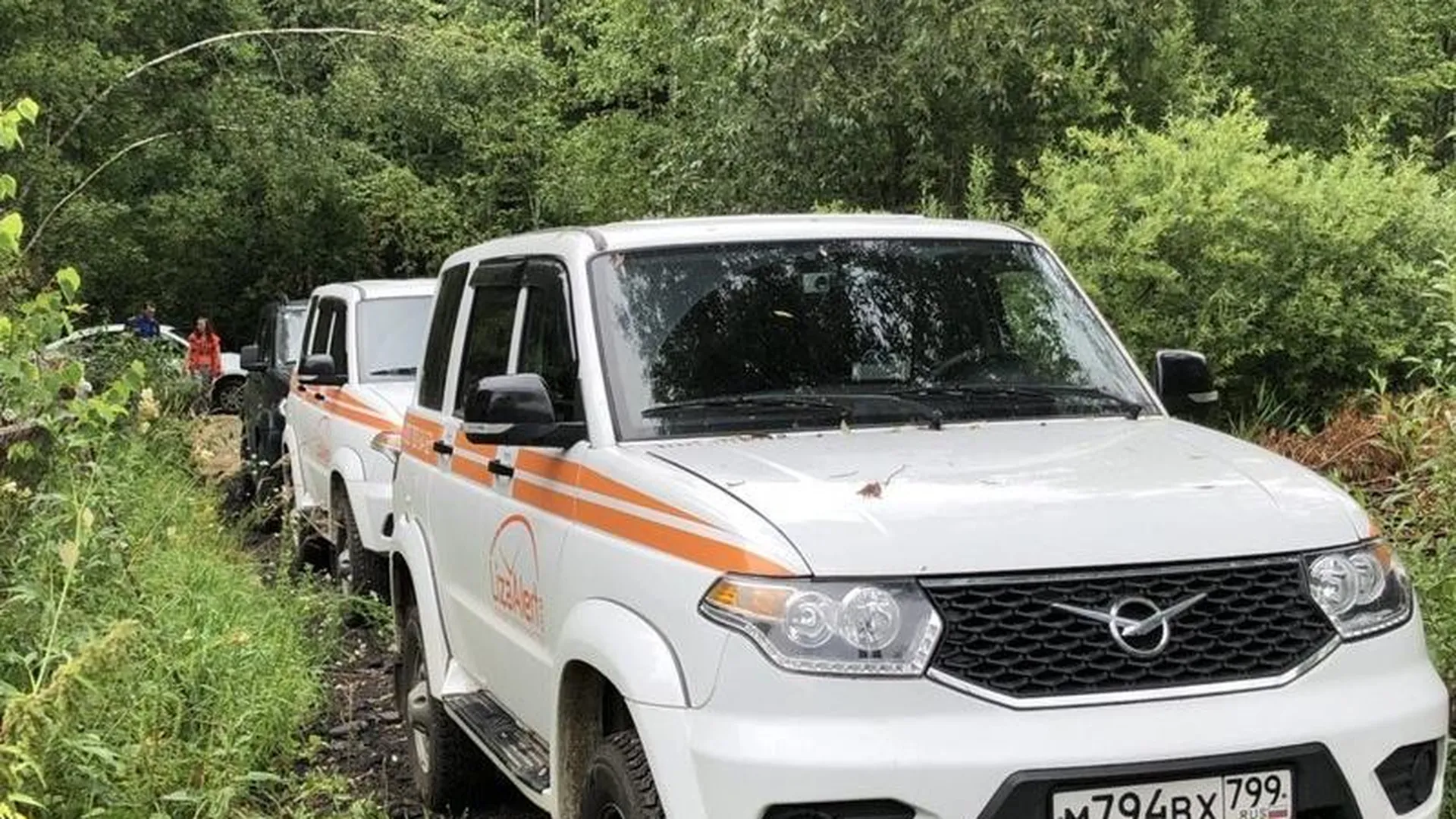 Блуждавшего в лесу пенсионера нашли через два дня в Серпуховском районе