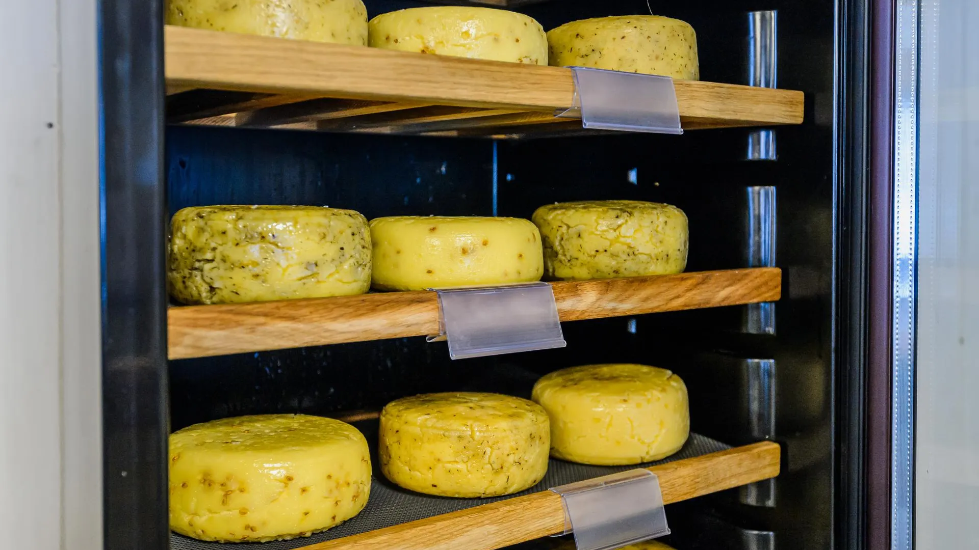 Эксперт Лялина назвала способы определить некачественный сыр
