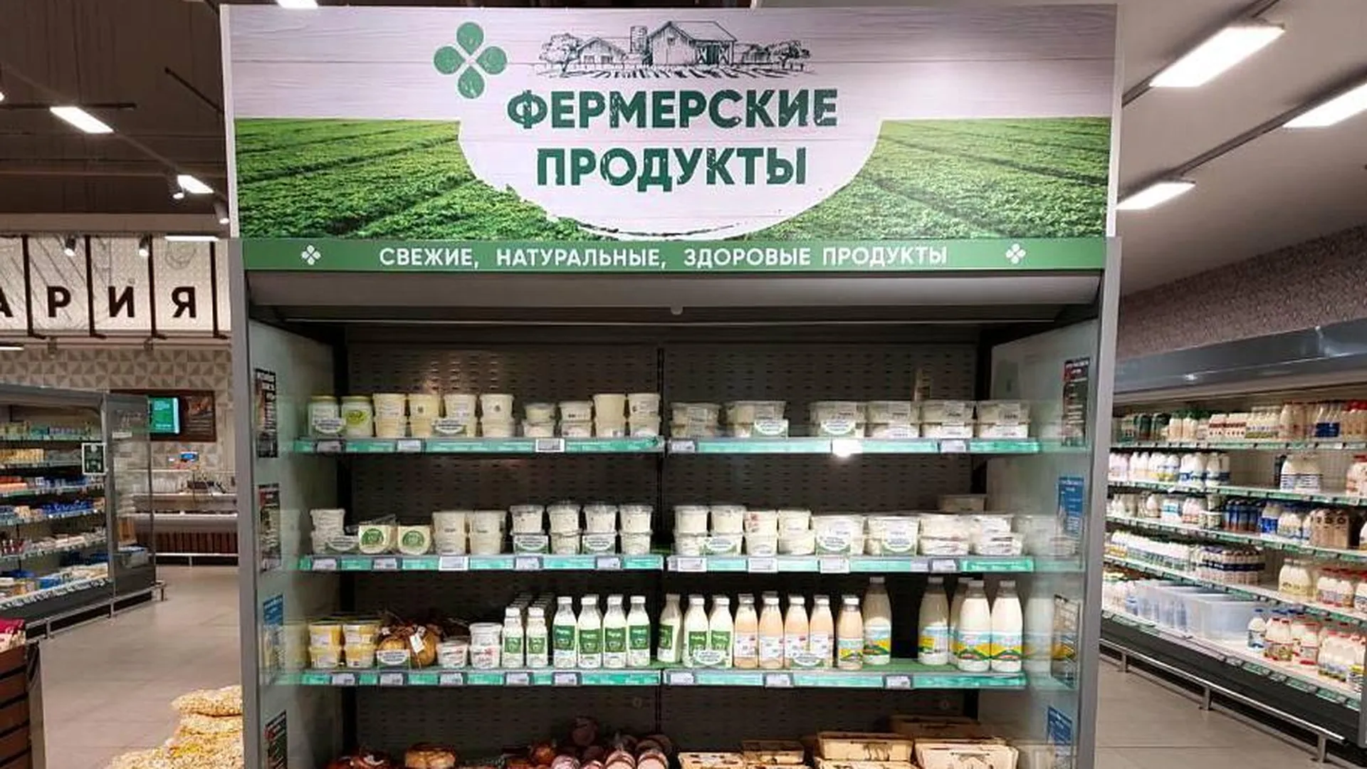 Первую в этом году торгово-закупочную сессию проведут в Московской области