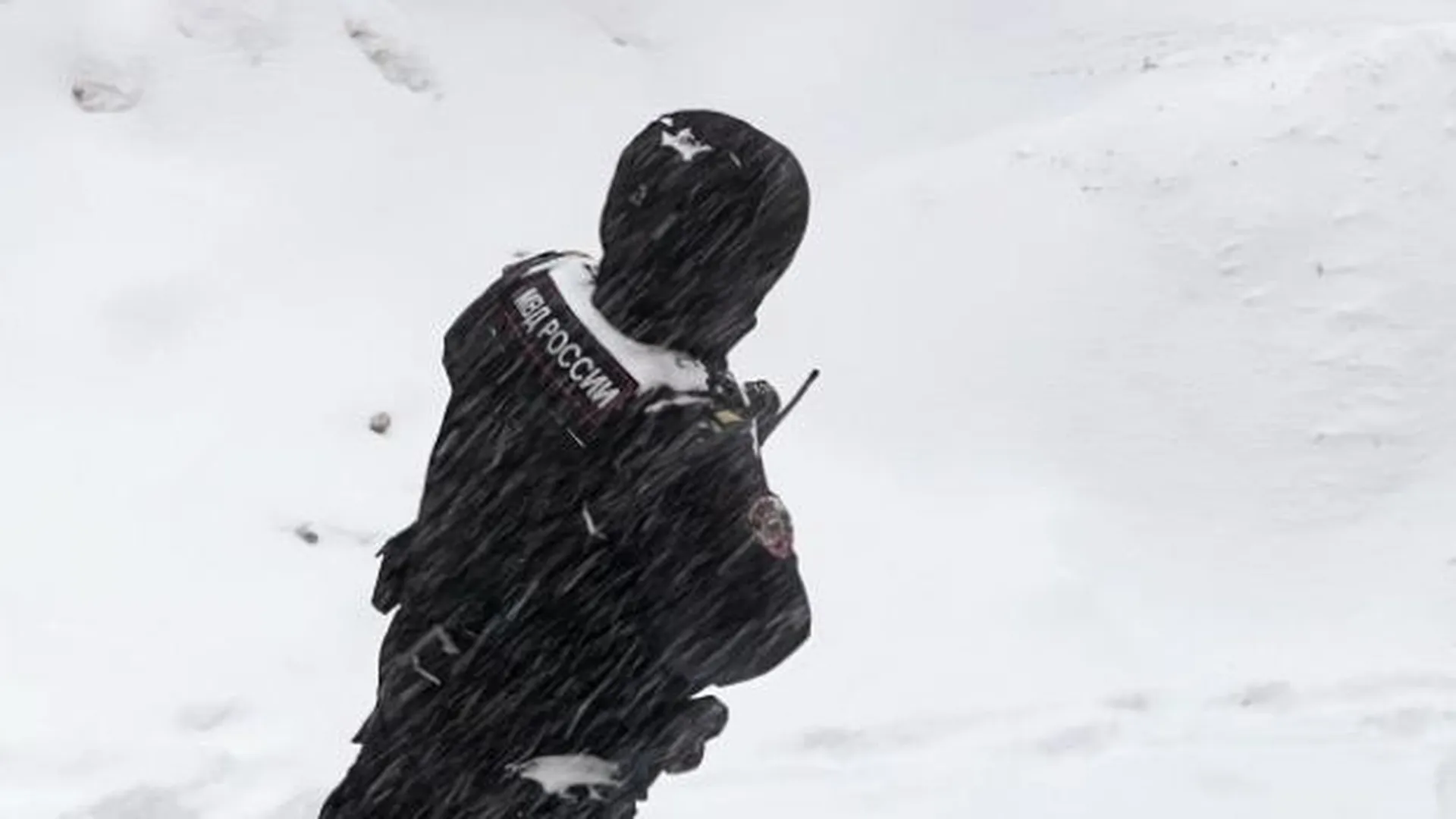 Карманник вытащил у прохожего в Москве телефон, сделав вид, что стряхивает снег с его одежды