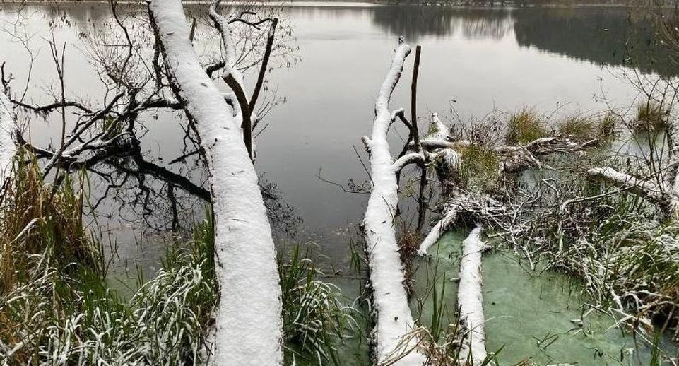 Минэкологии поддержало требования прокуратуры ограничить использование земель у водных объектов в Домодедове