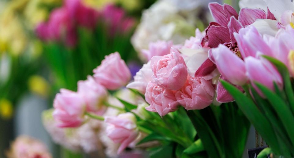 Депутат Хамитов предложил ввести госрегулирование цен на цветы