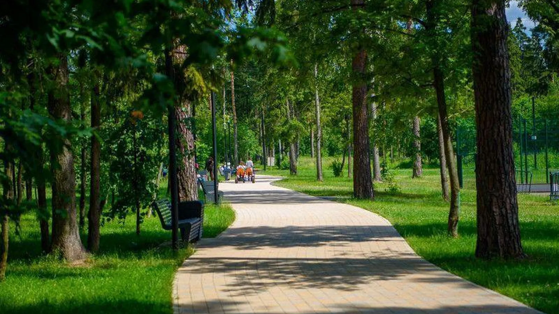 Уже 2,7 тыс свободных от застройки зеленых зон выбрали в Подмосковье