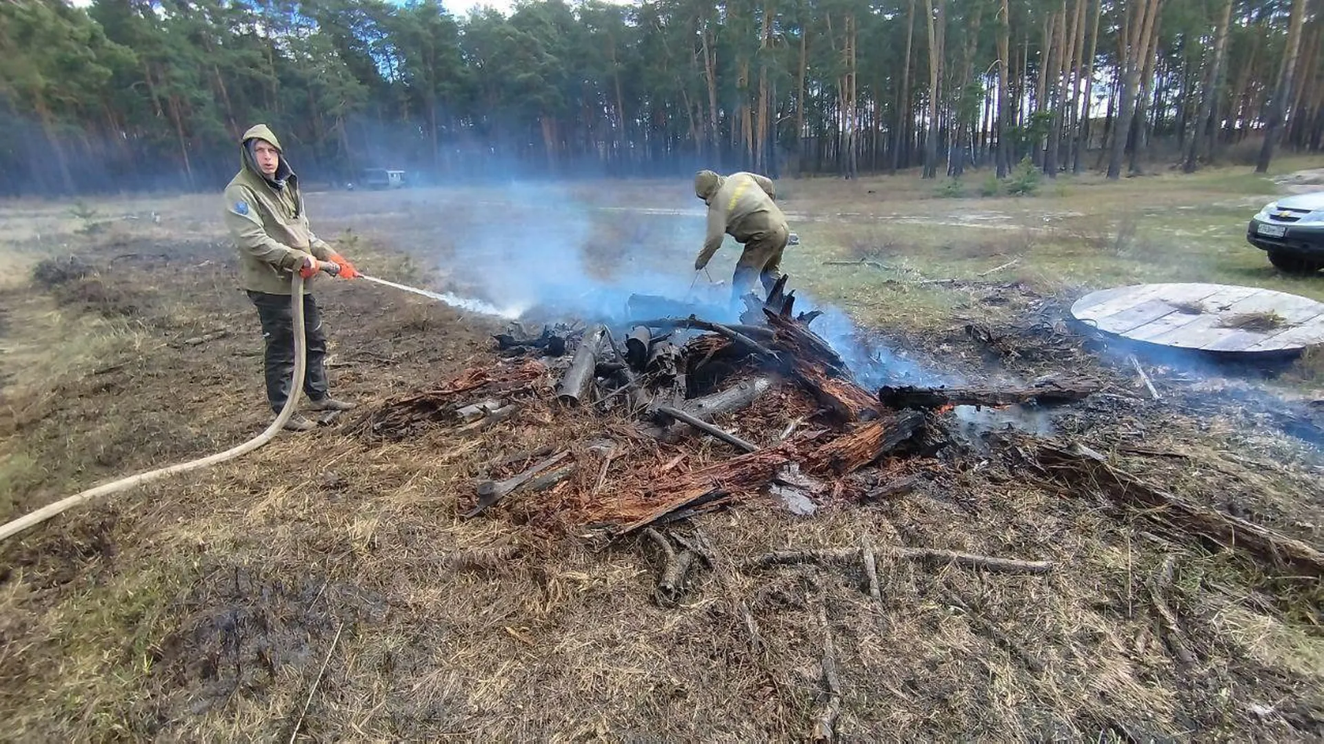 Лесной пожар потушили в Луховицах
