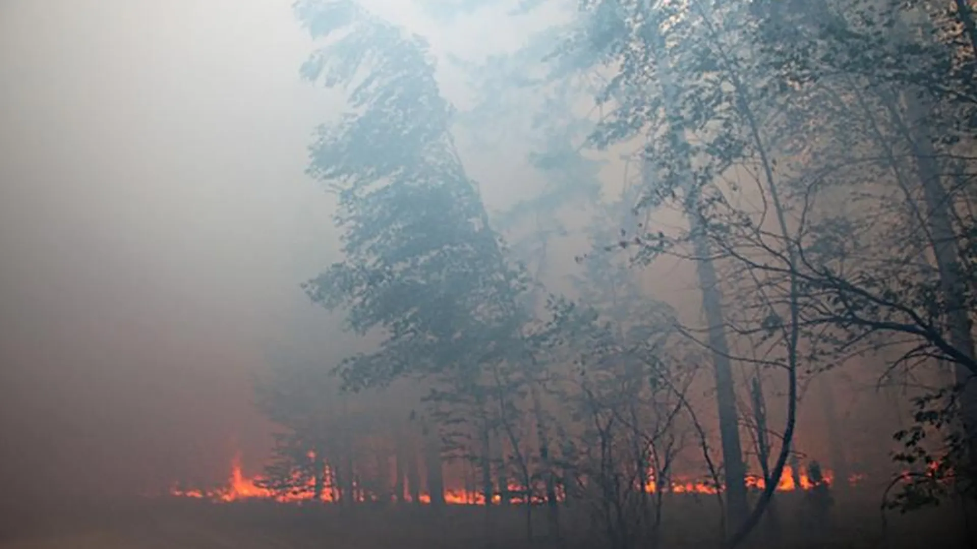 Мощные пожары в Рязанской области добрались до Подмосковья