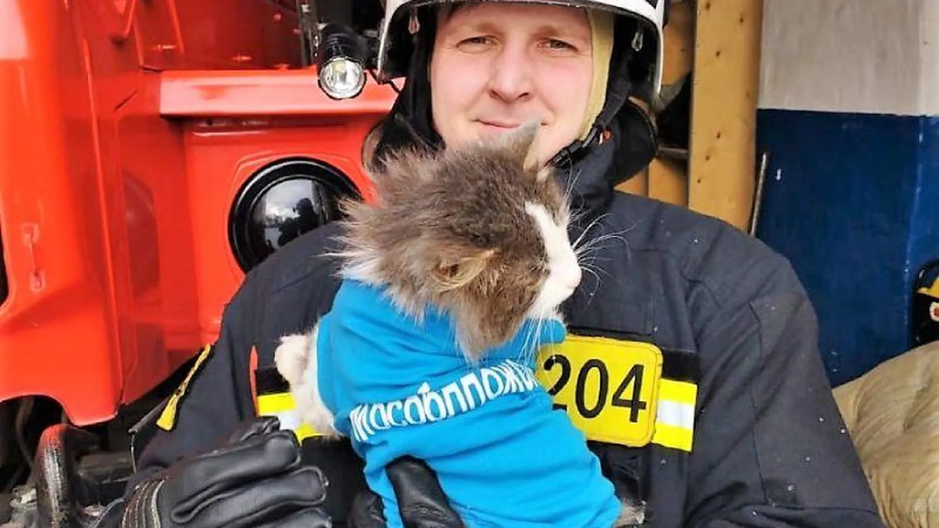 День спасения кошек. Пожарные спасают животных. Пожарный спасает кошку. Фото пожарных. Пожарные и спасатели.
