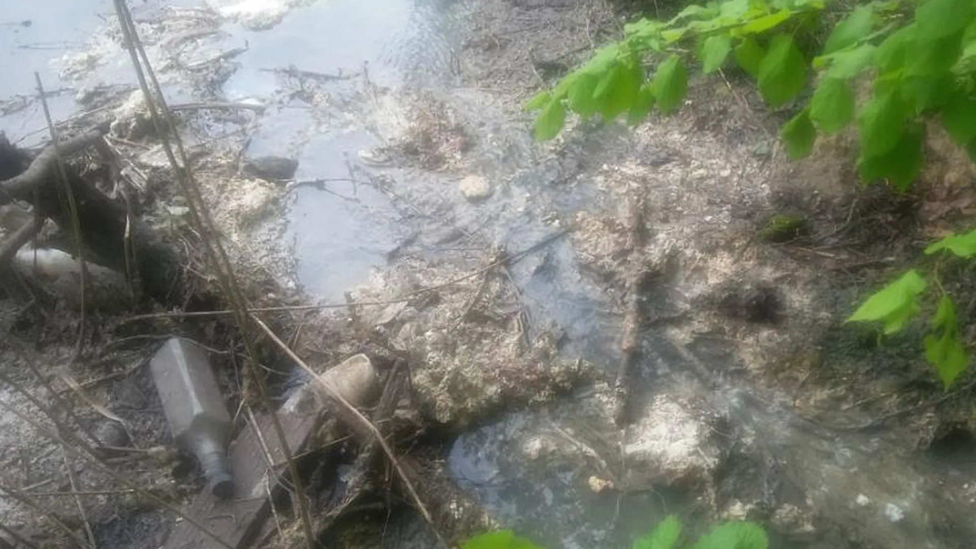 Владелец ресторана в Пушкинском районе загрязнял реку Скалбу