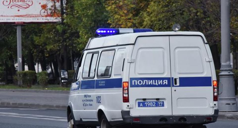 МВД: компания подростков избила и ограбила 2 прохожих в Санкт-Петербурге