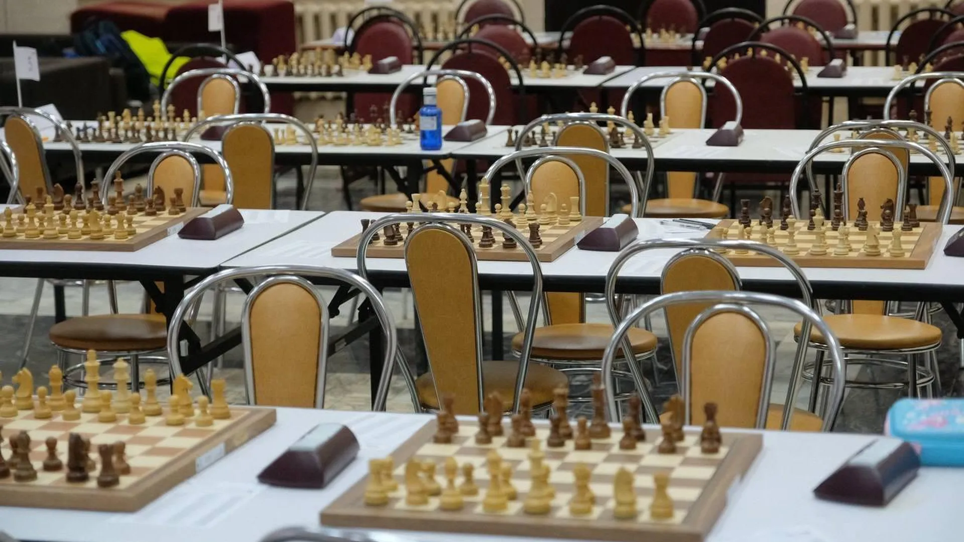 Шахматный турнир «Белая ладья» стартовал в Королеве