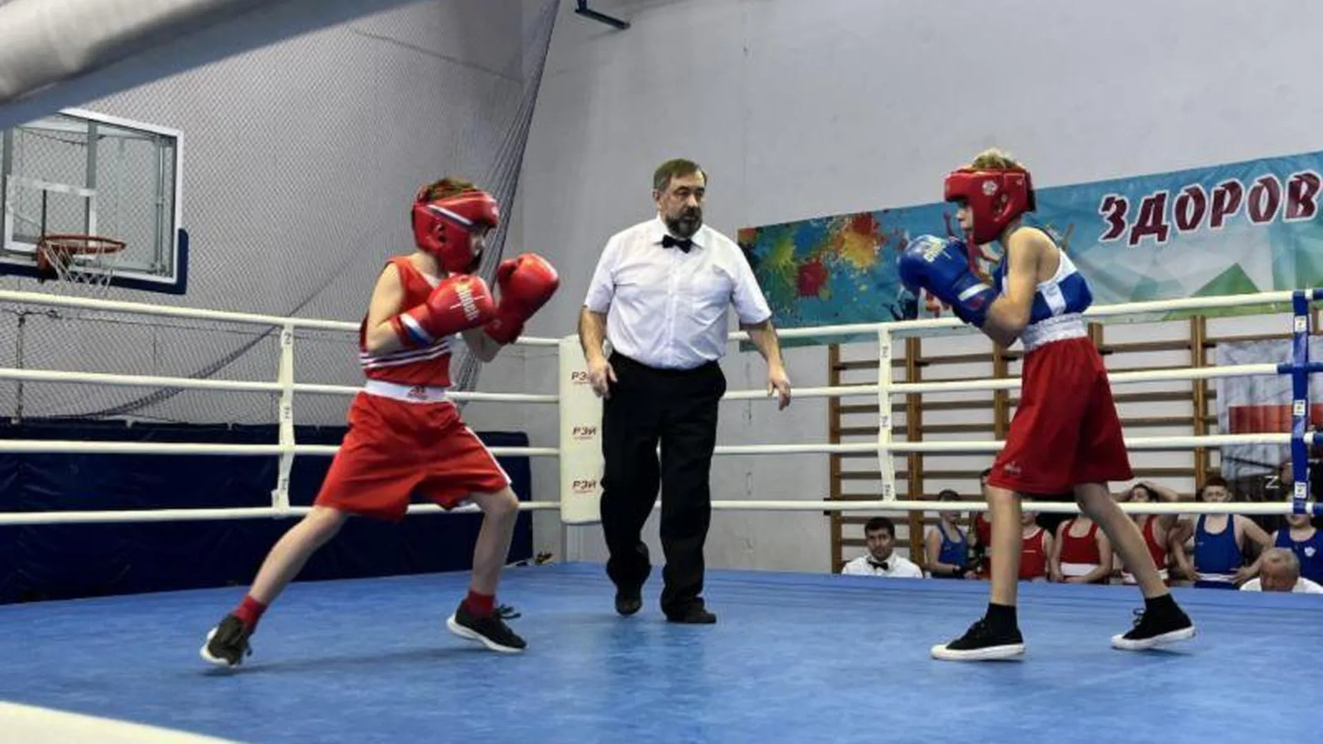 Почти сто спортсменов приняли участие в турнире по боксу в Можайске